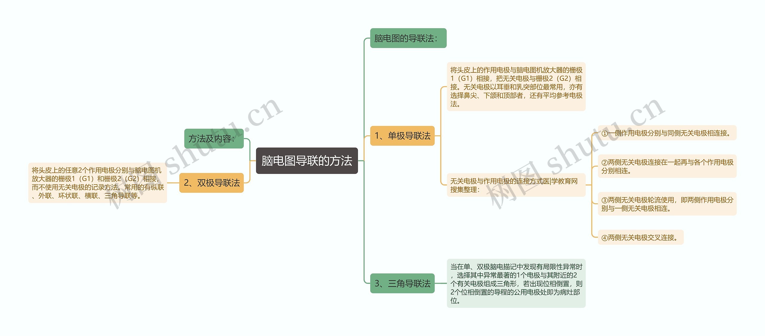 脑电图导联的方法思维导图