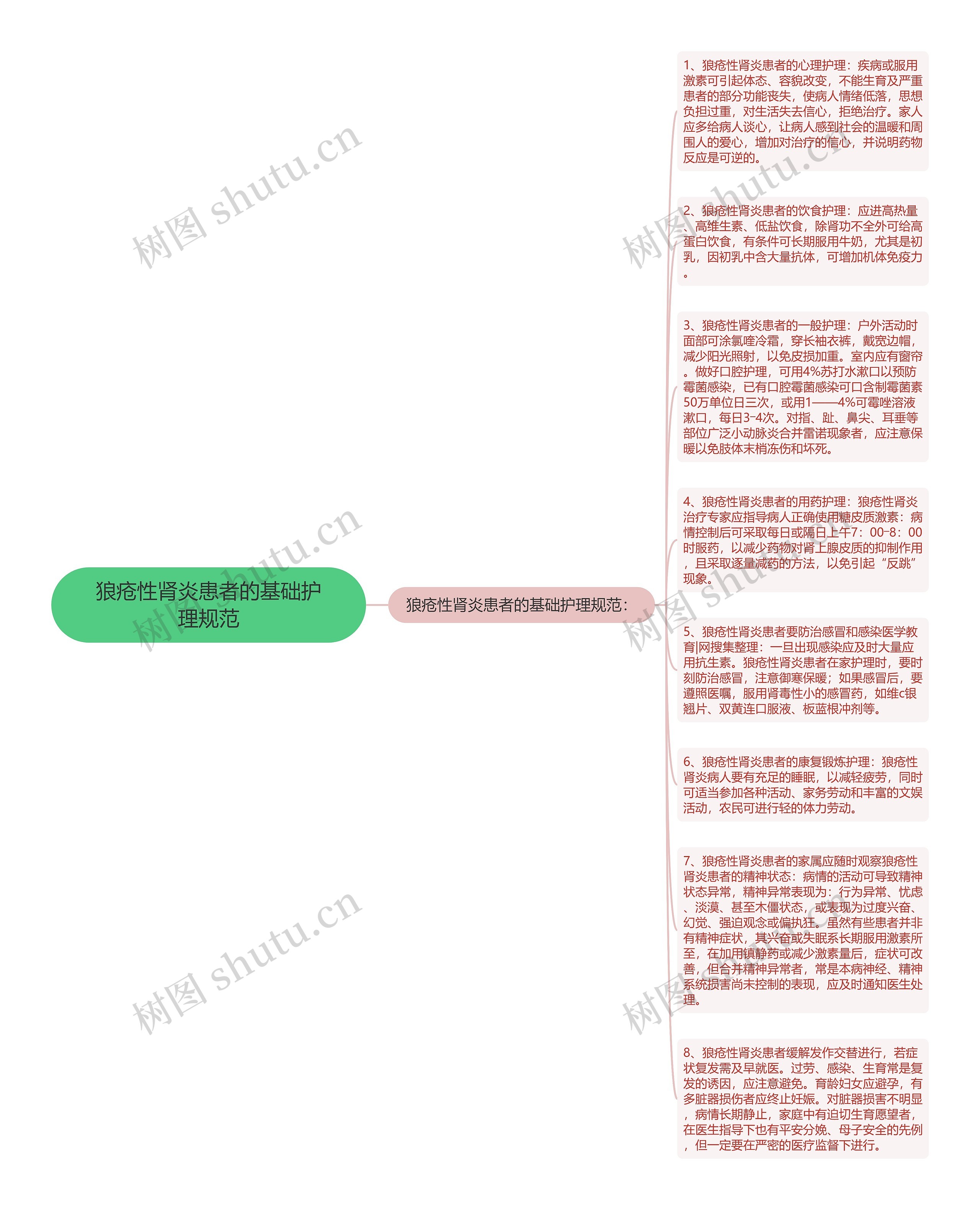 狼疮性肾炎患者的基础护理规范思维导图