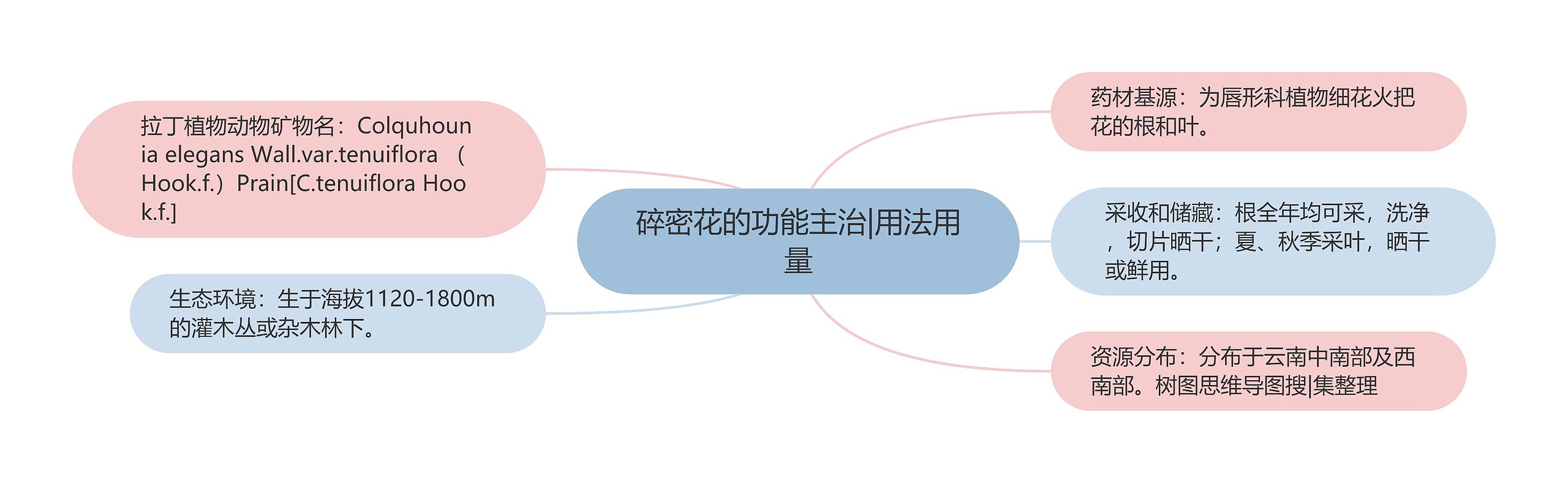 碎密花的功能主治|用法用量 碎密花的功能主治|用法用量