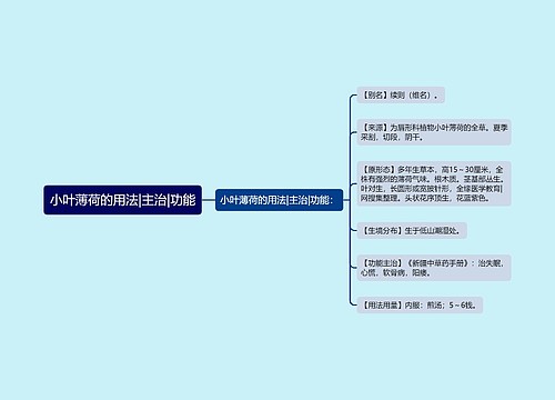 小叶薄荷的用法|主治|功能