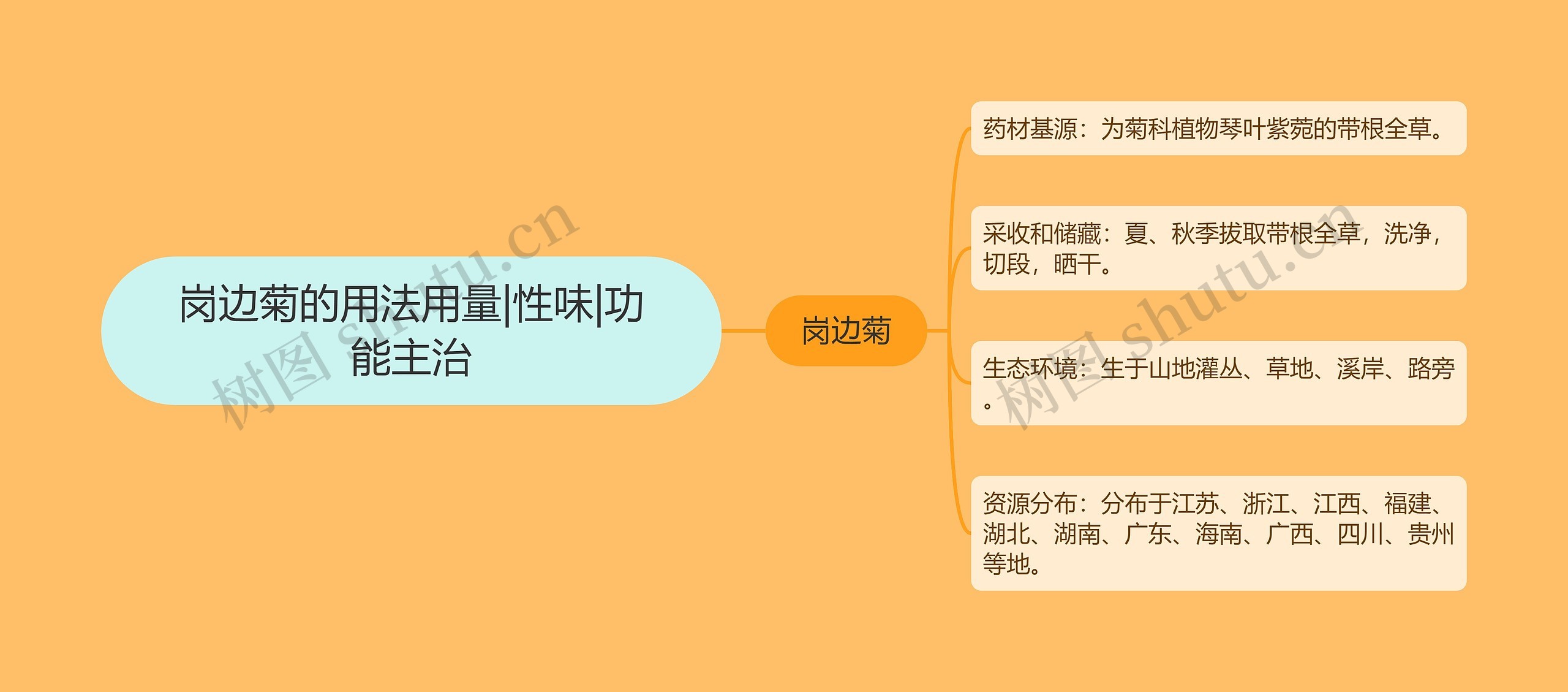 岗边菊的用法用量|性味|功能主治 岗边菊的用法用量|性味|功能主治