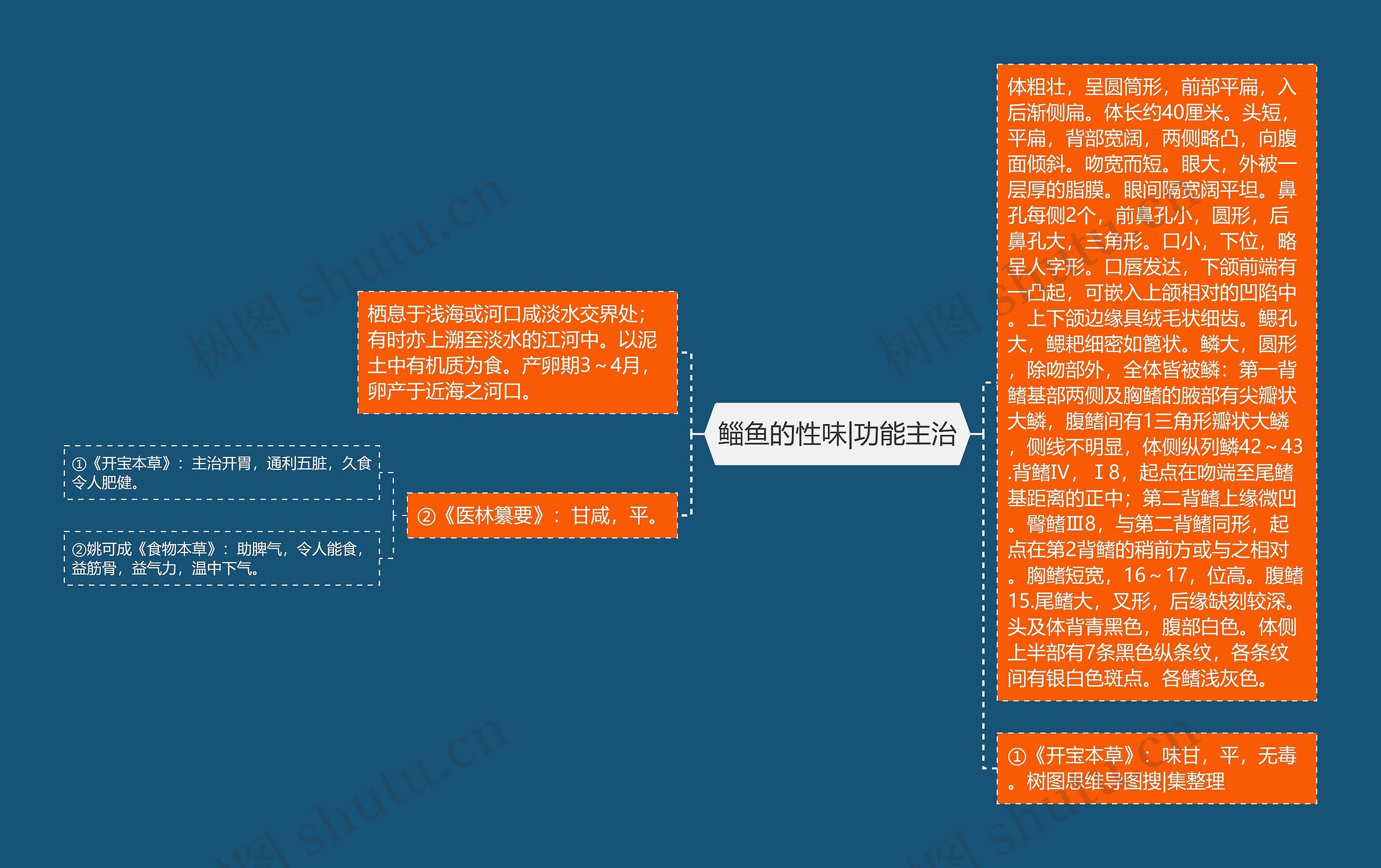 鲻鱼的性味|功能主治