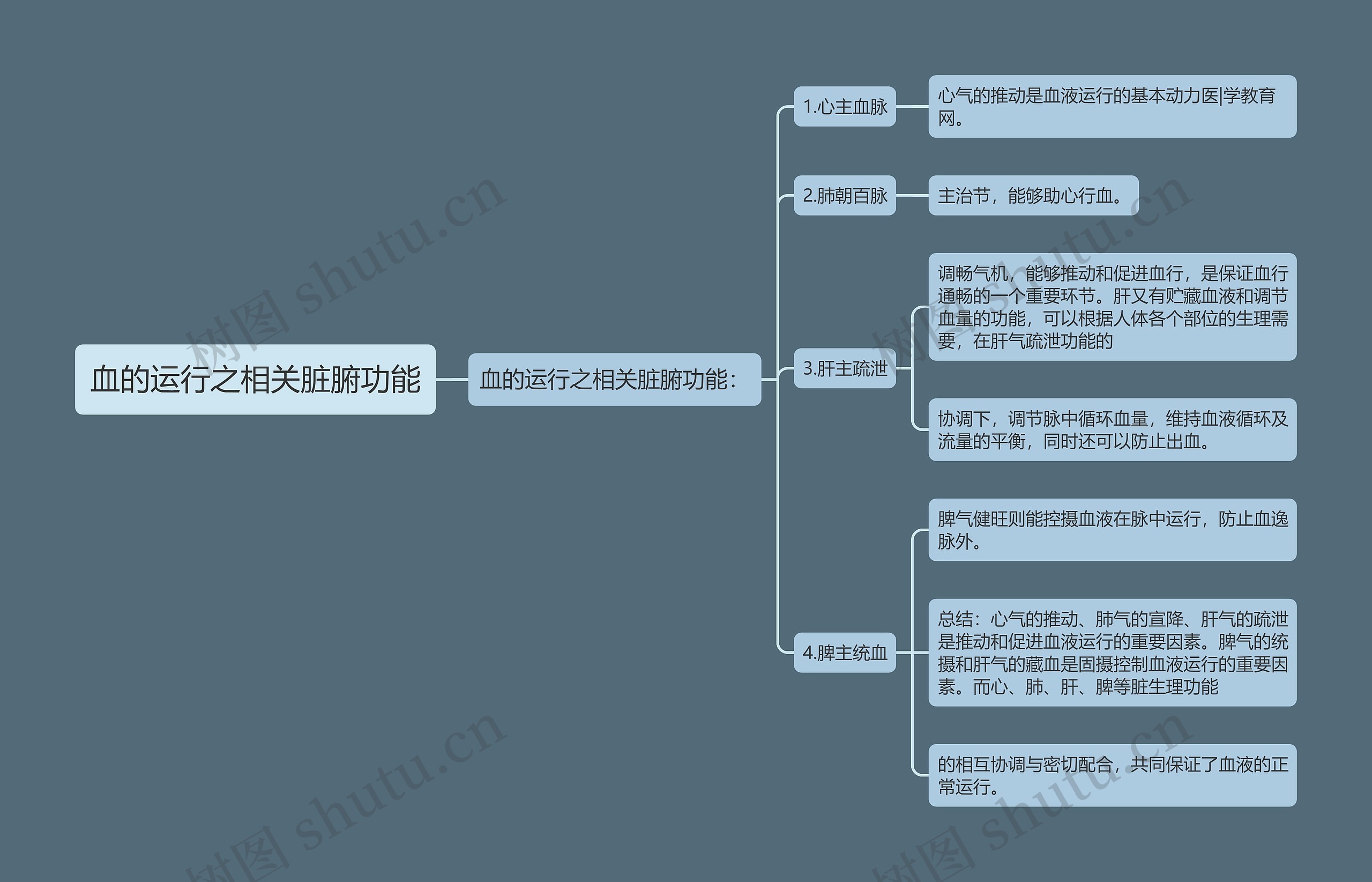 血的运行之相关脏腑功能思维导图