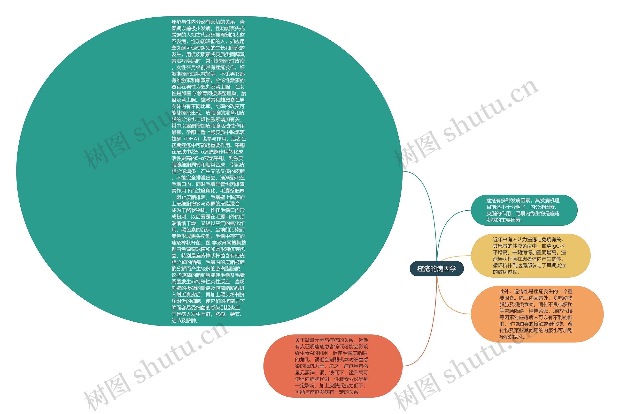 痤疮的病因学思维导图