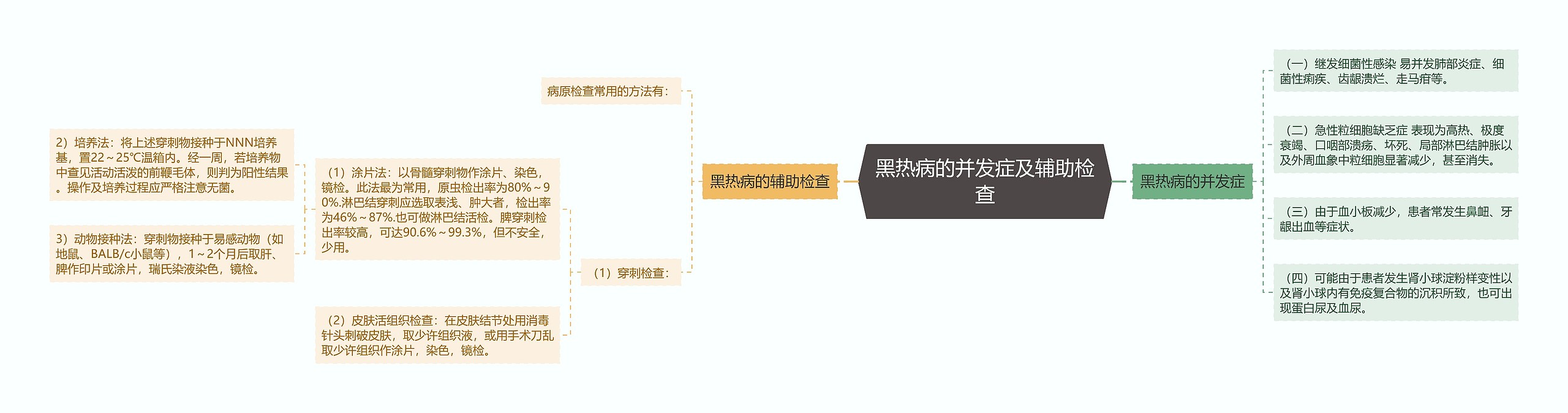 黑热病的并发症及辅助检查思维导图