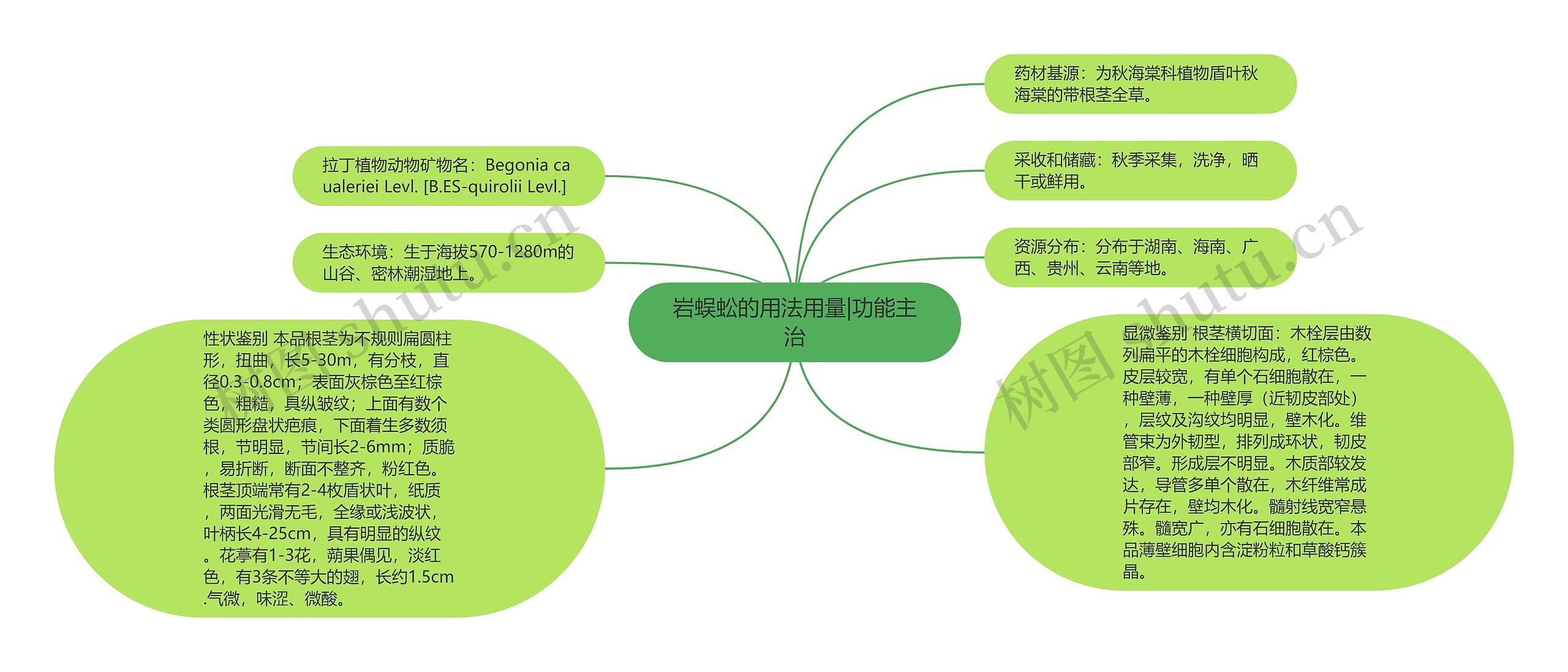 岩蜈蚣的用法用量|功能主治