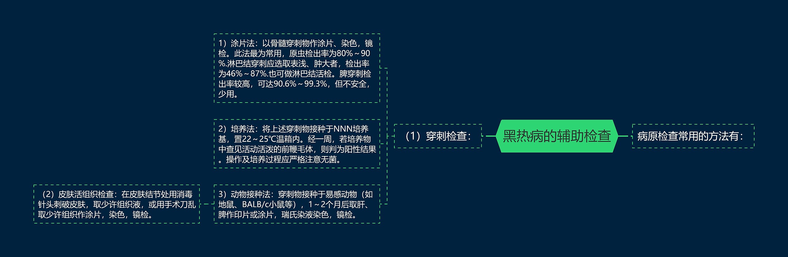 黑热病的辅助检查思维导图