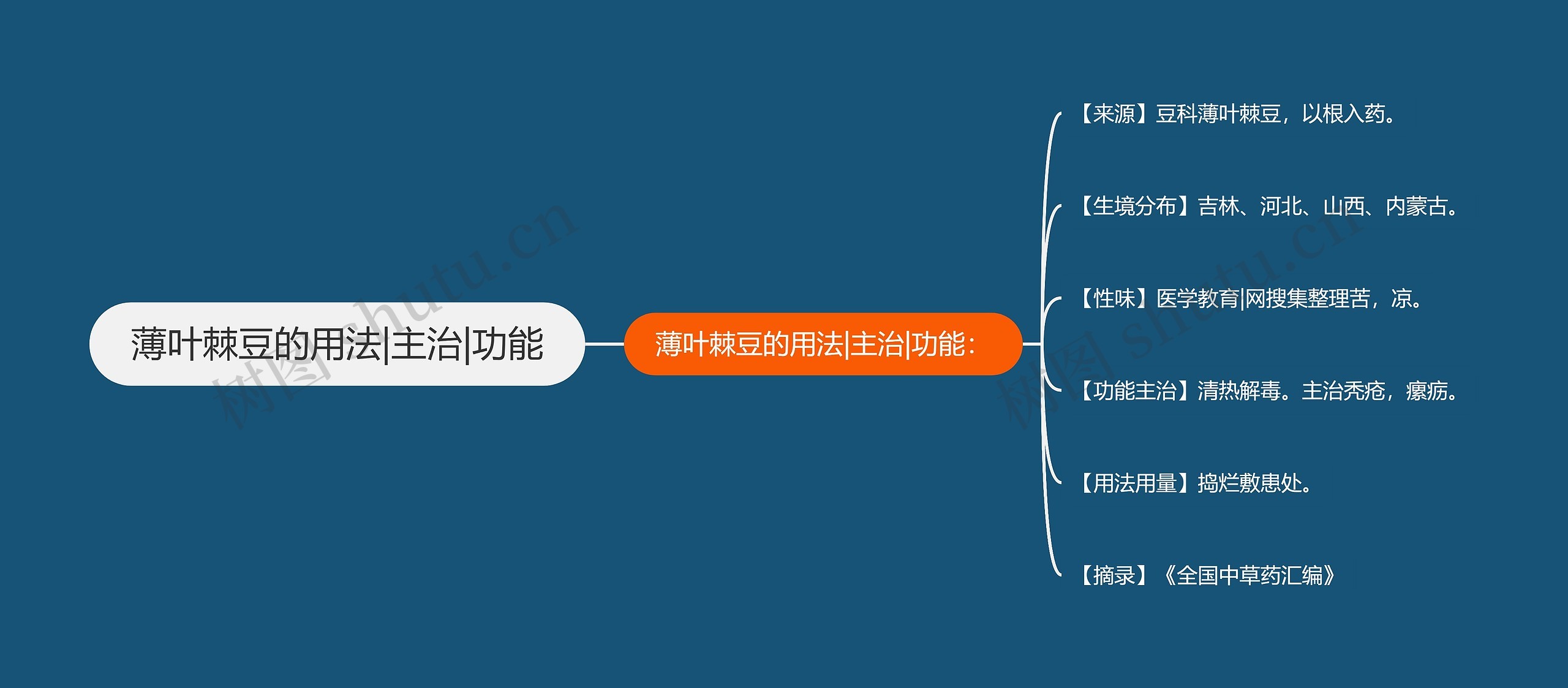 薄叶棘豆的用法|主治|功能思维导图