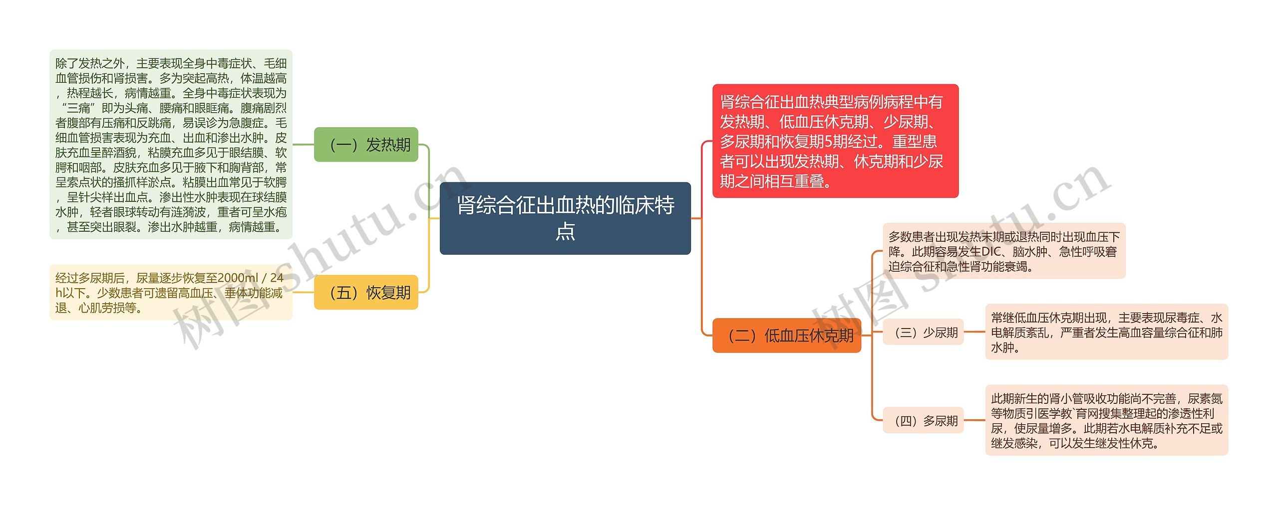 肾综合征出血热的临床特点思维导图