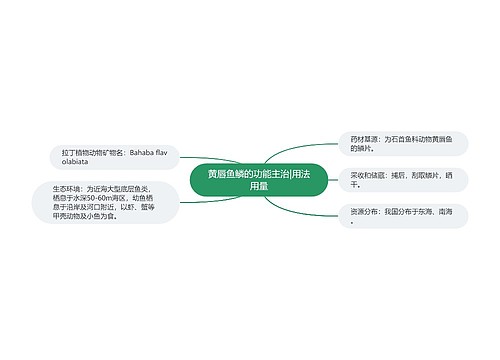 黄唇鱼鳞的功能主治|用法用量