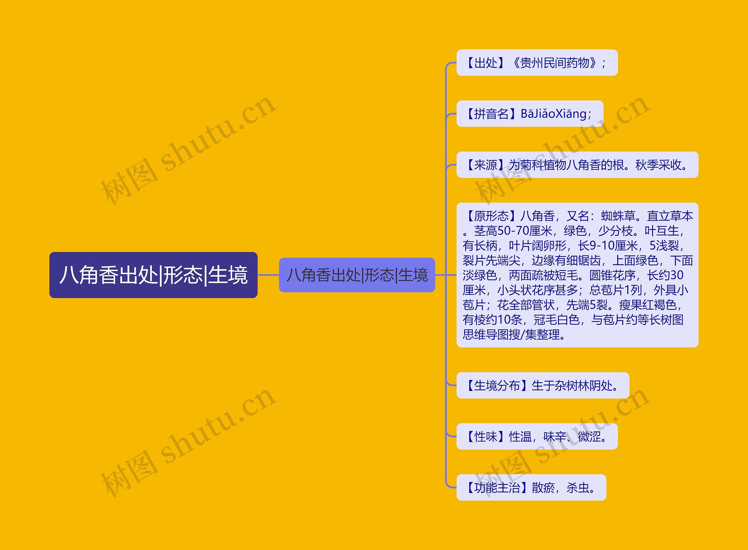 八角香出处|形态|生境 八角香出处|形态|生境