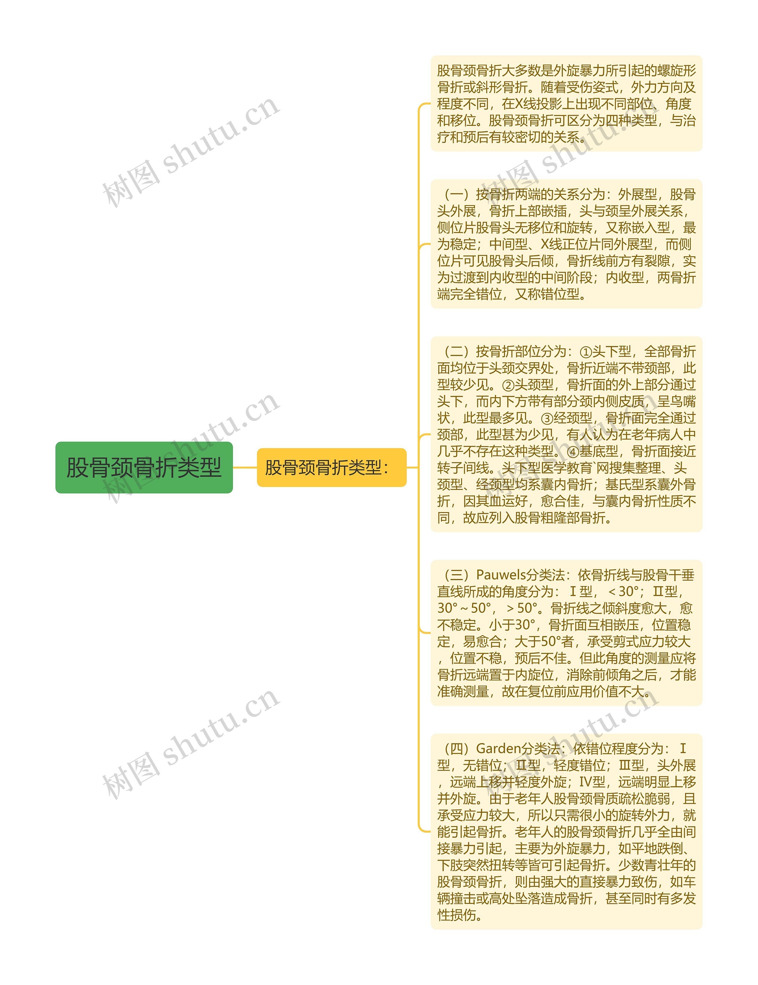 股骨颈骨折类型思维导图