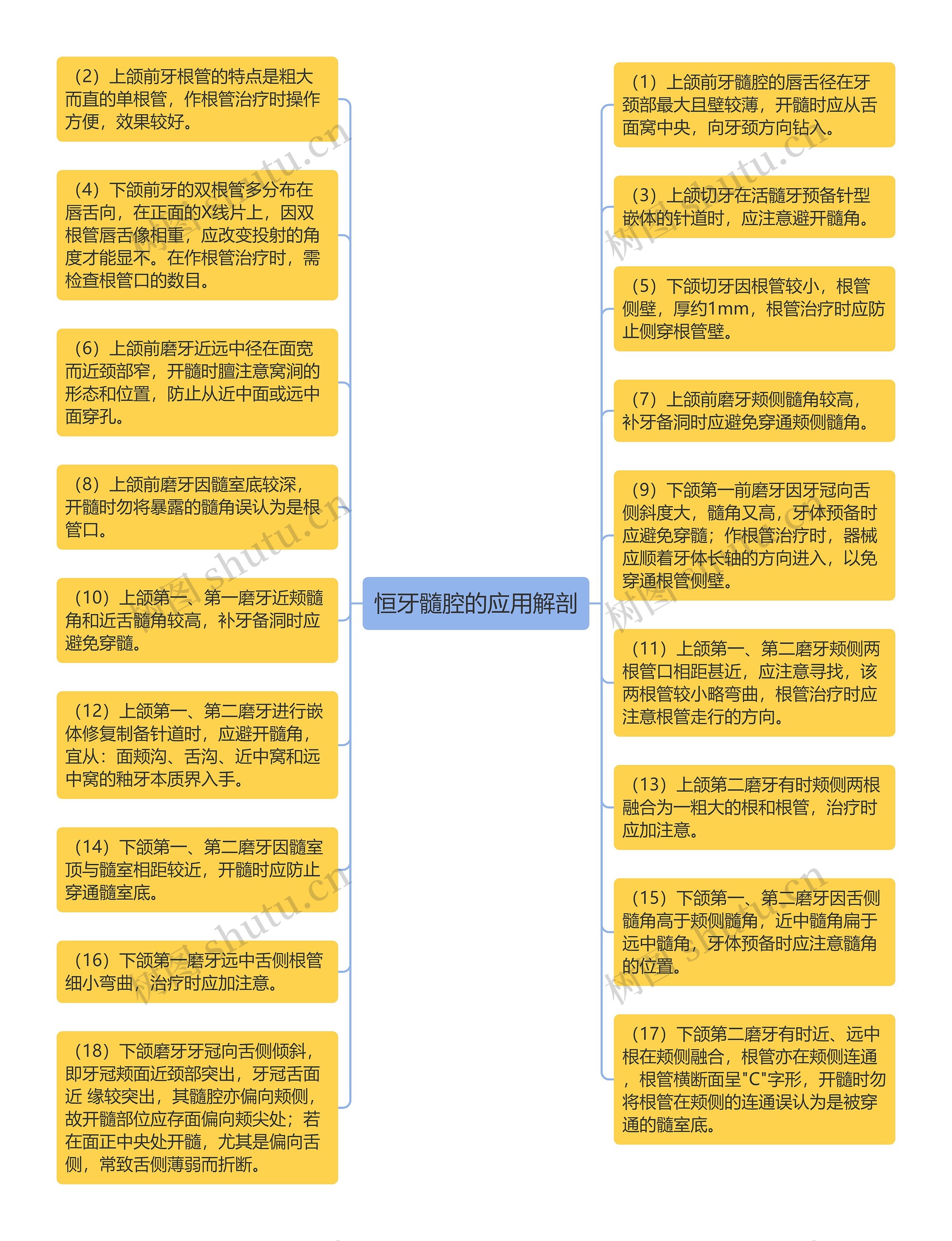 恒牙髓腔的应用解剖