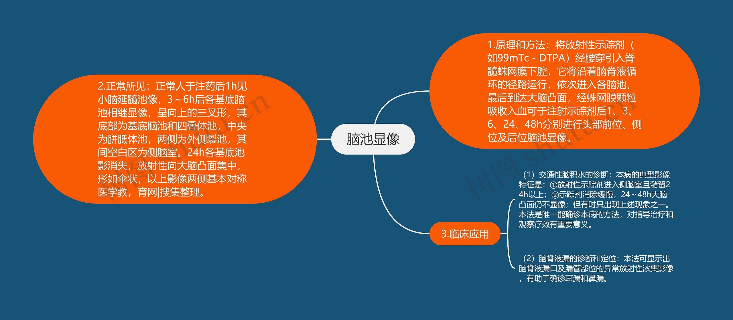 脑池显像思维导图