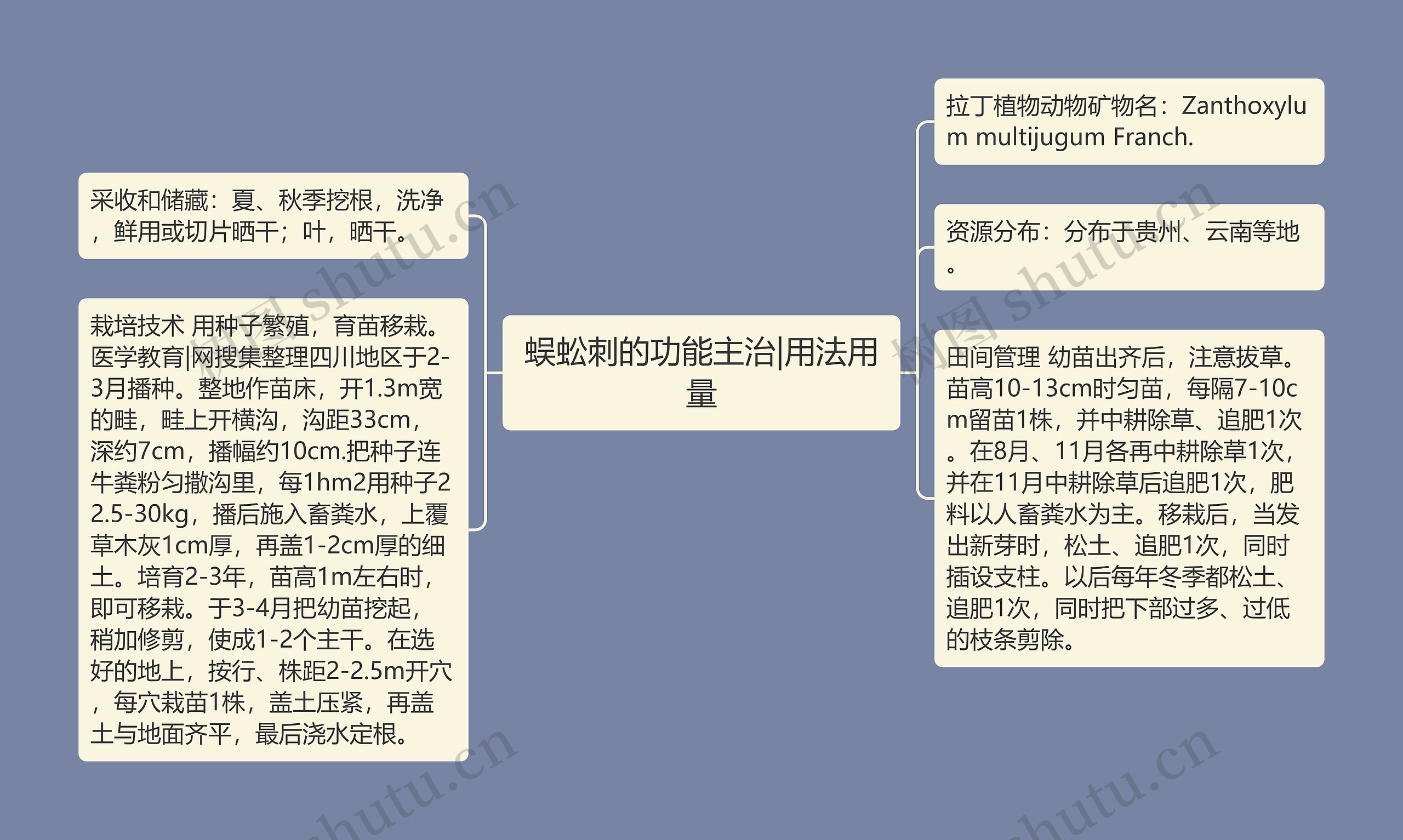 蜈蚣刺的功能主治|用法用量思维导图