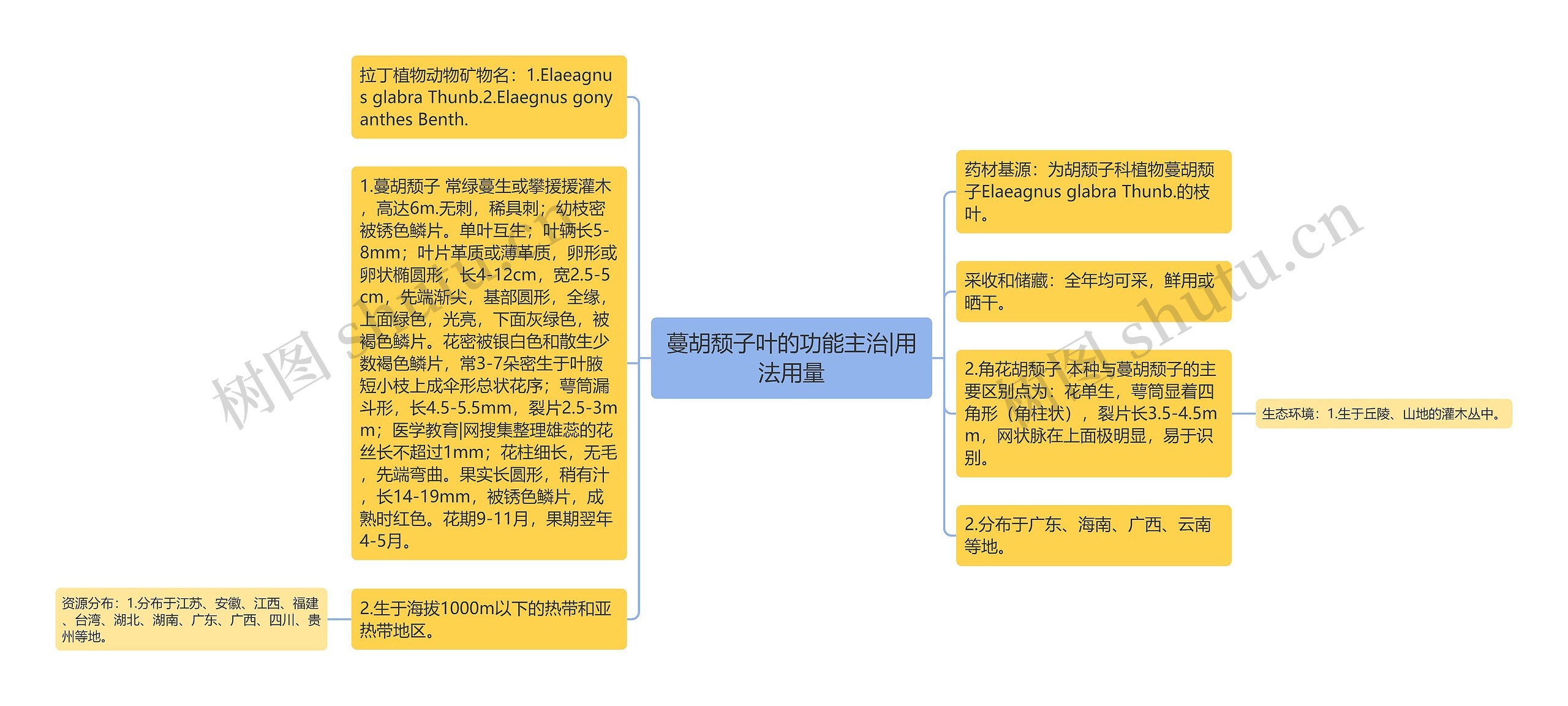 蔓胡颓子叶的功能主治|用法用量