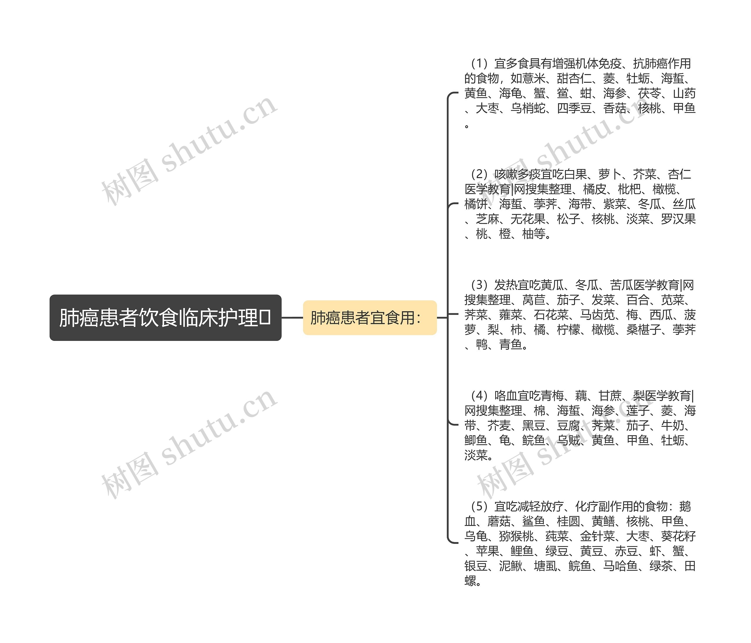 肺癌患者饮食临床护理思维导图