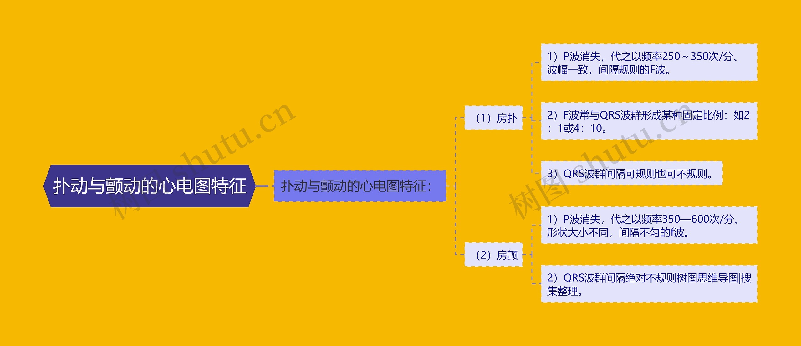 扑动与颤动的心电图特征思维导图