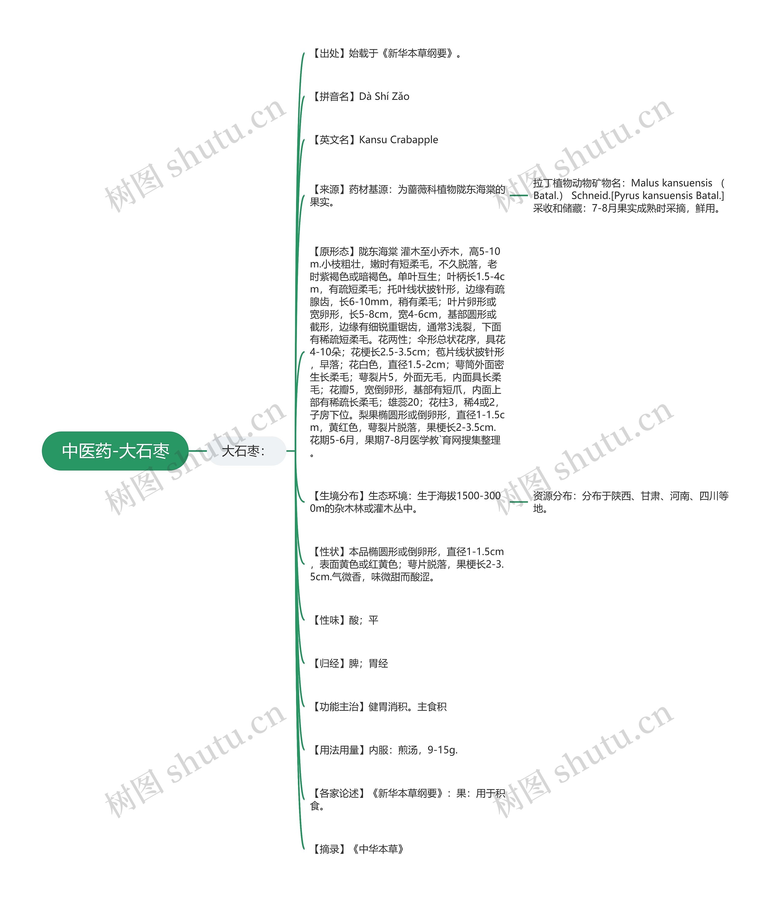 中医药-大石枣 中医药-大石枣