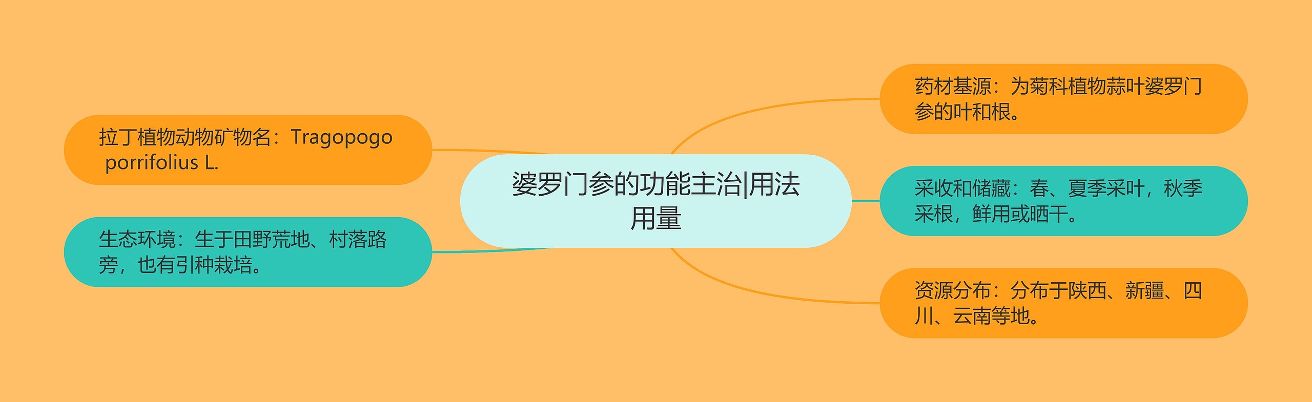 婆罗门参的功能主治|用法用量 婆罗门参的功能主治|用法用量