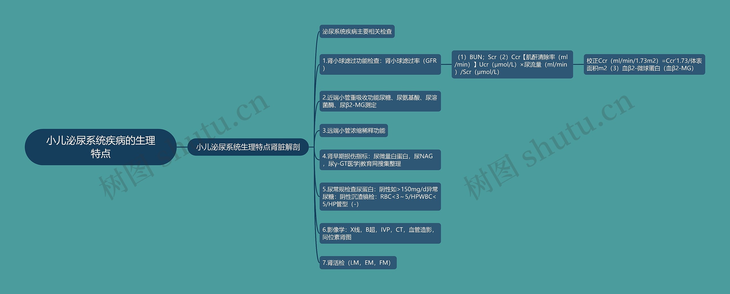 小儿泌尿系统疾病的生理特点思维导图