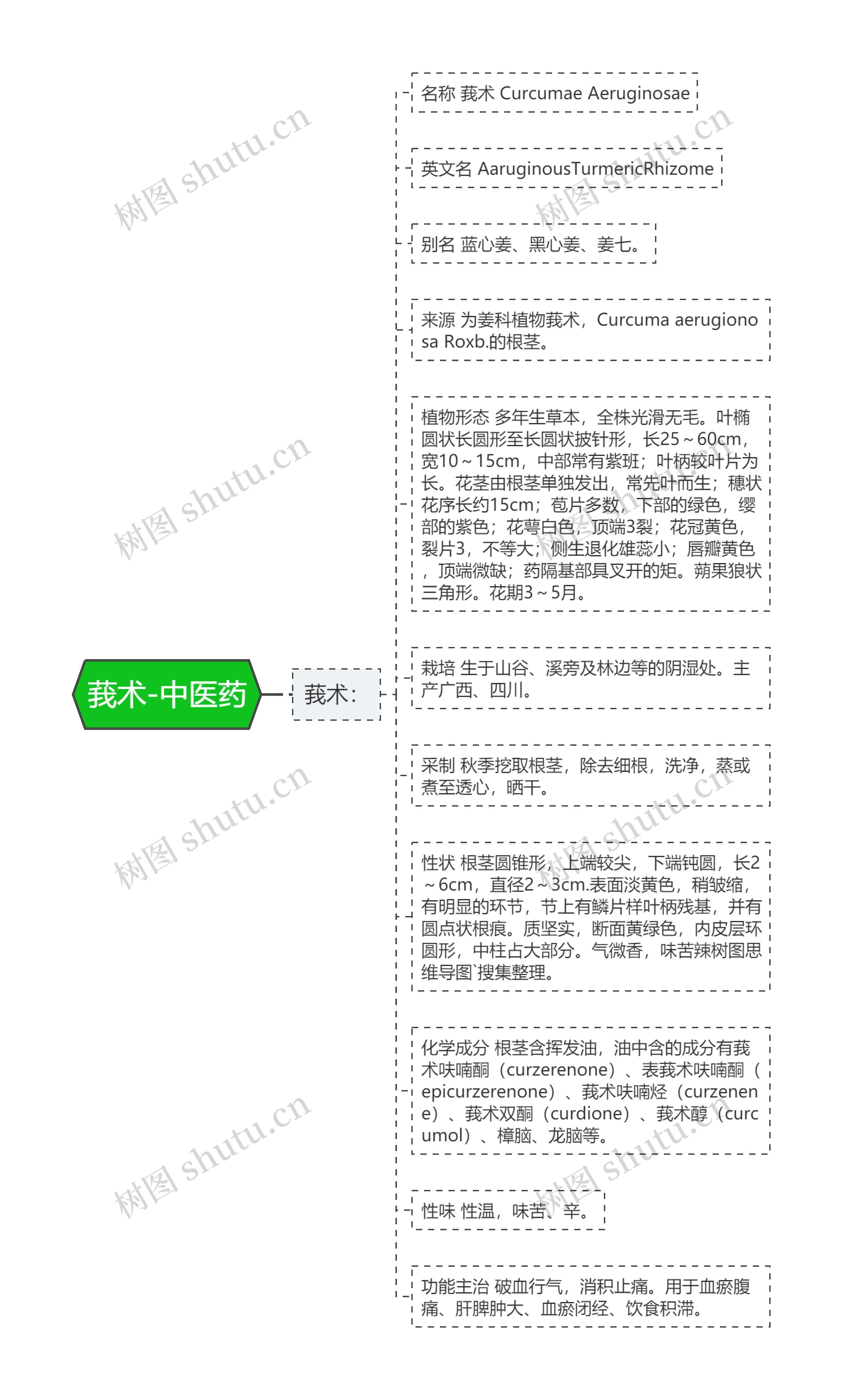莪术-中医药 莪术-中医药