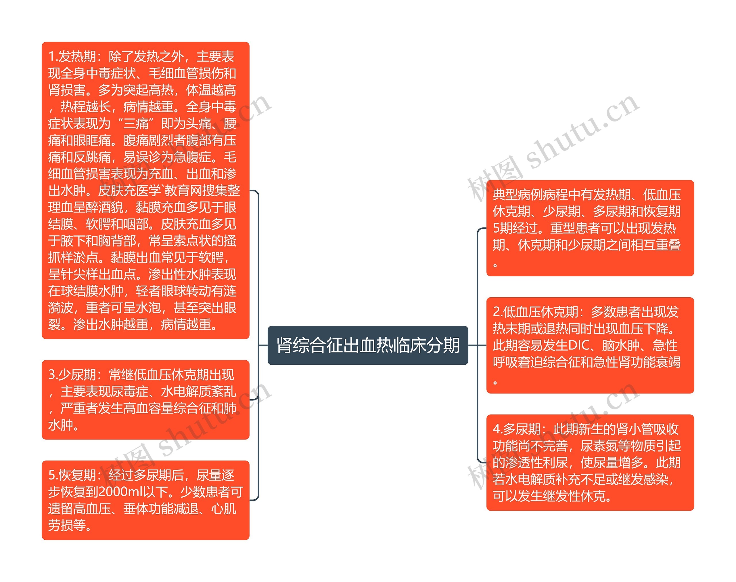 肾综合征出血热临床分期思维导图