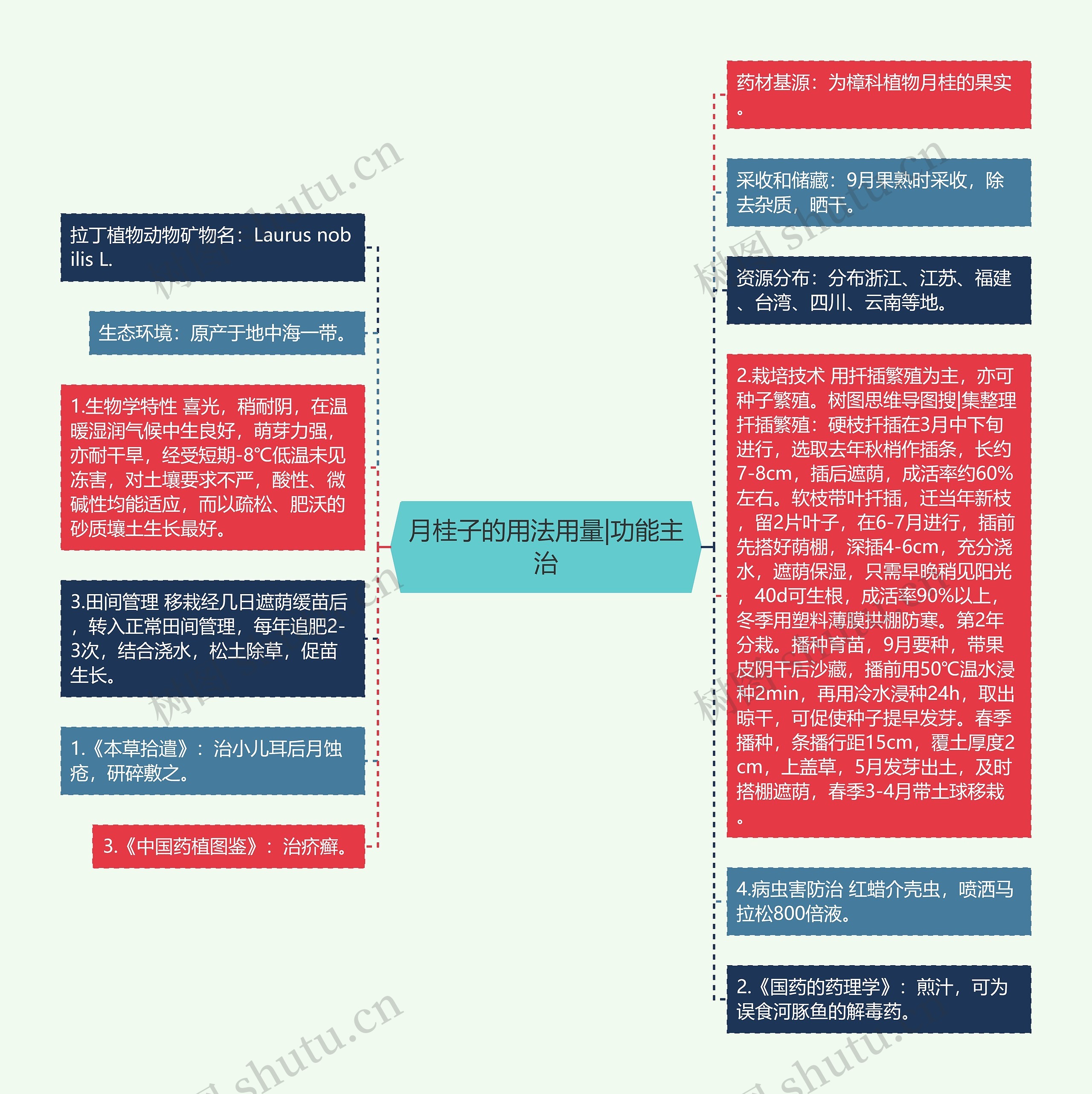 月桂子的用法用量|功能主治