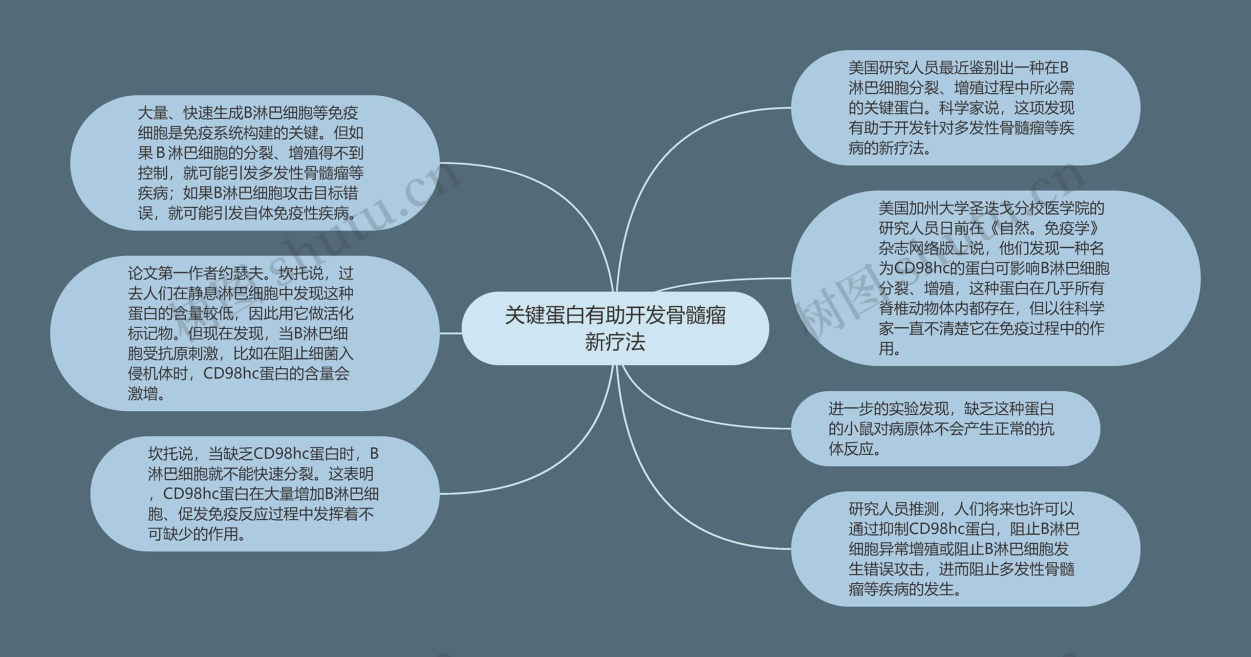 关键蛋白有助开发骨髓瘤新疗法