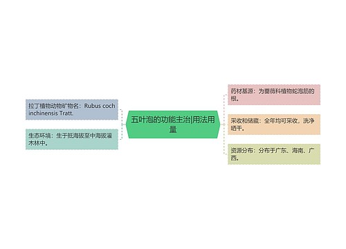 五叶泡的功能主治|用法用量