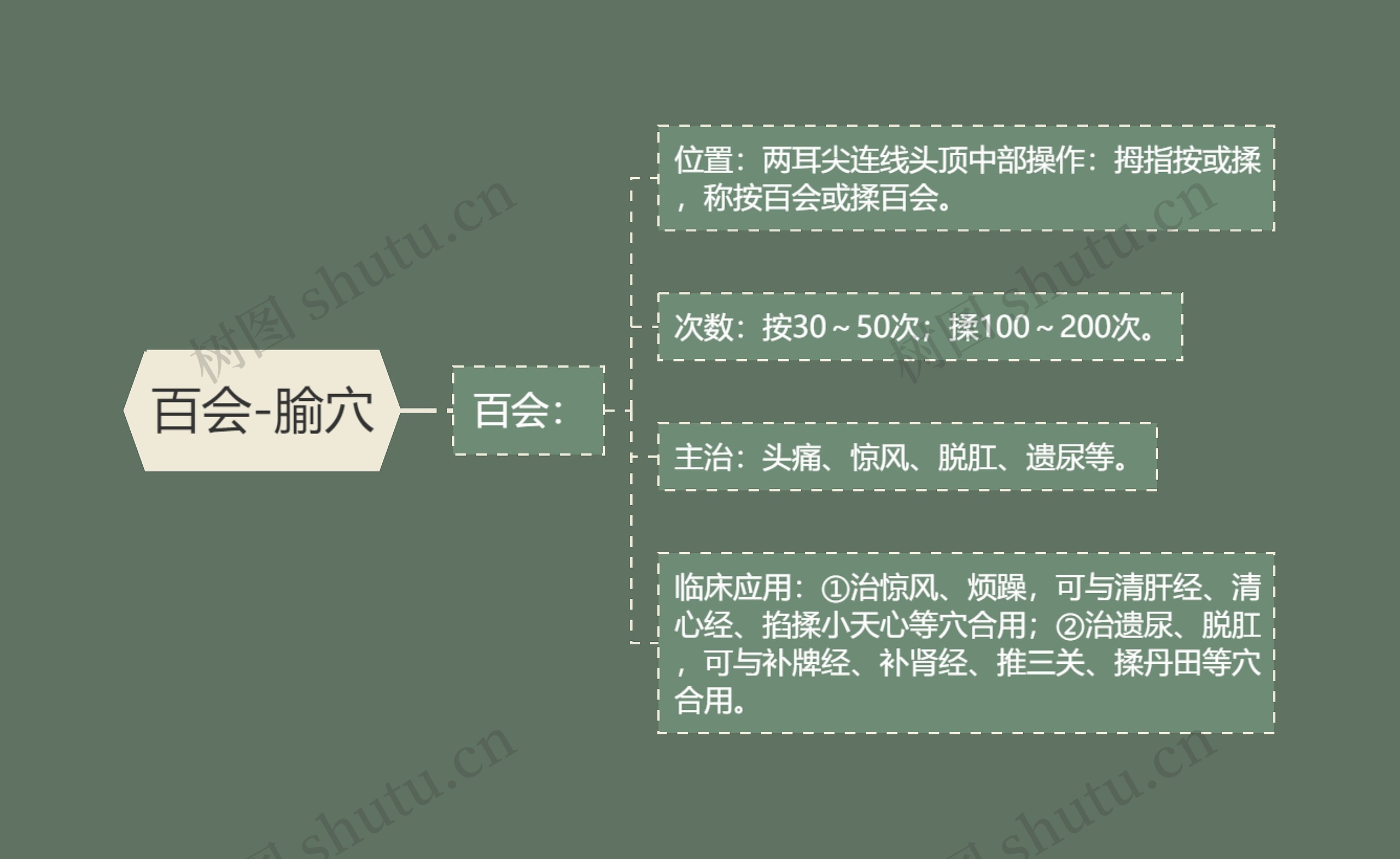 百会-腧穴思维导图