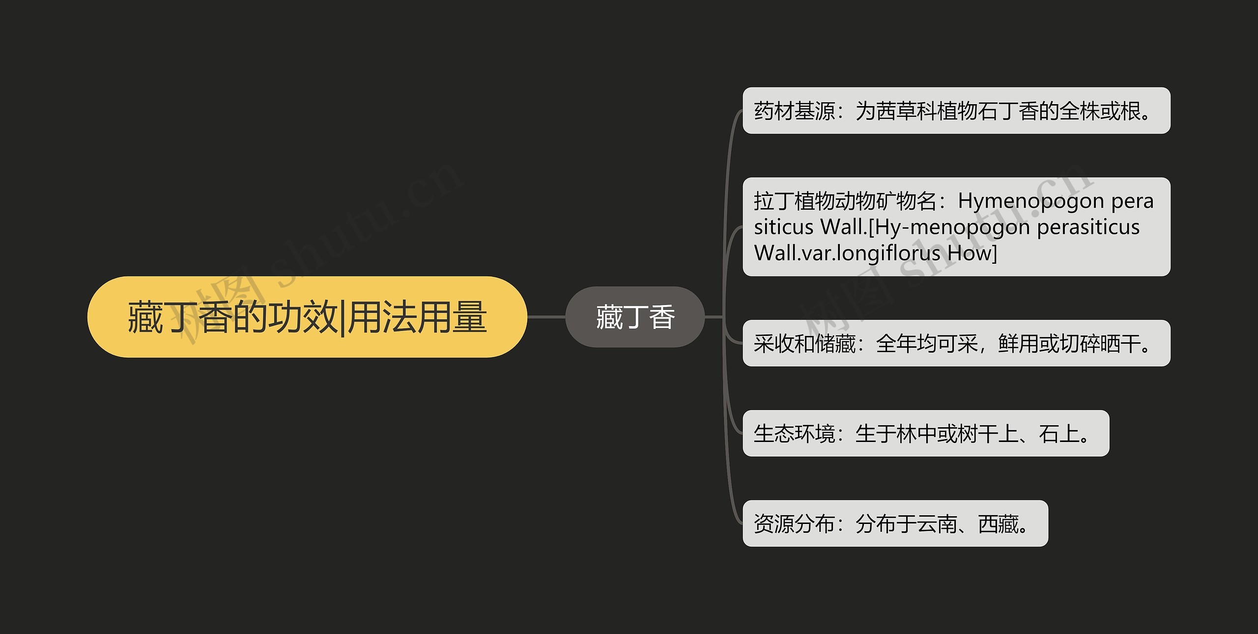 藏丁香的功效|用法用量 藏丁香的功效|用法用量