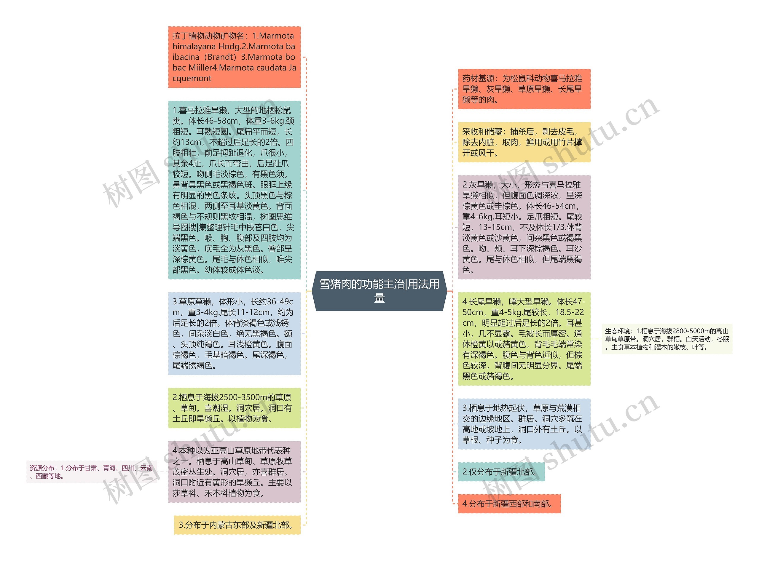 雪猪肉的功能主治|用法用量思维导图