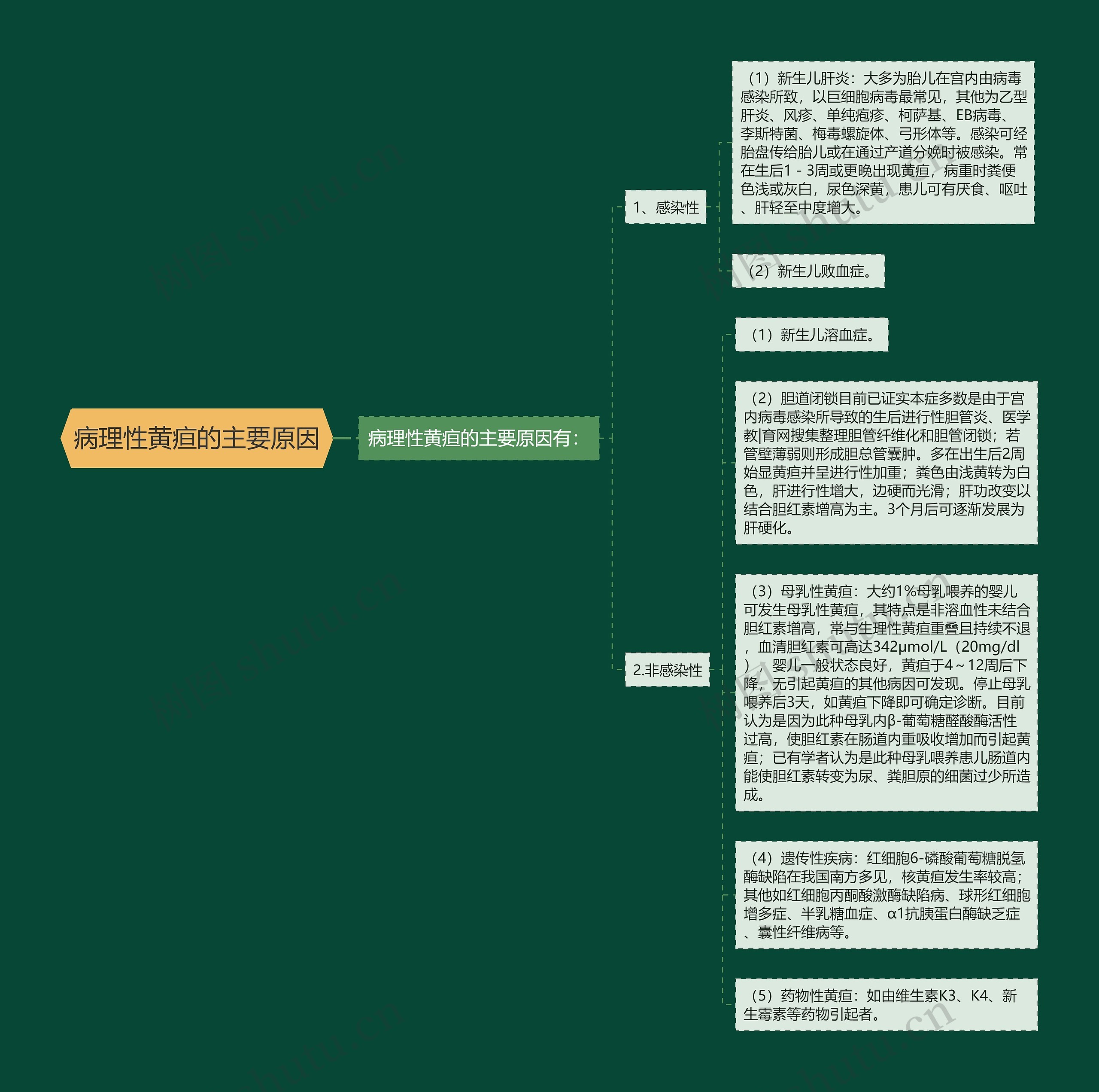 病理性黄疸的主要原因 病理性黄疸的主要原因