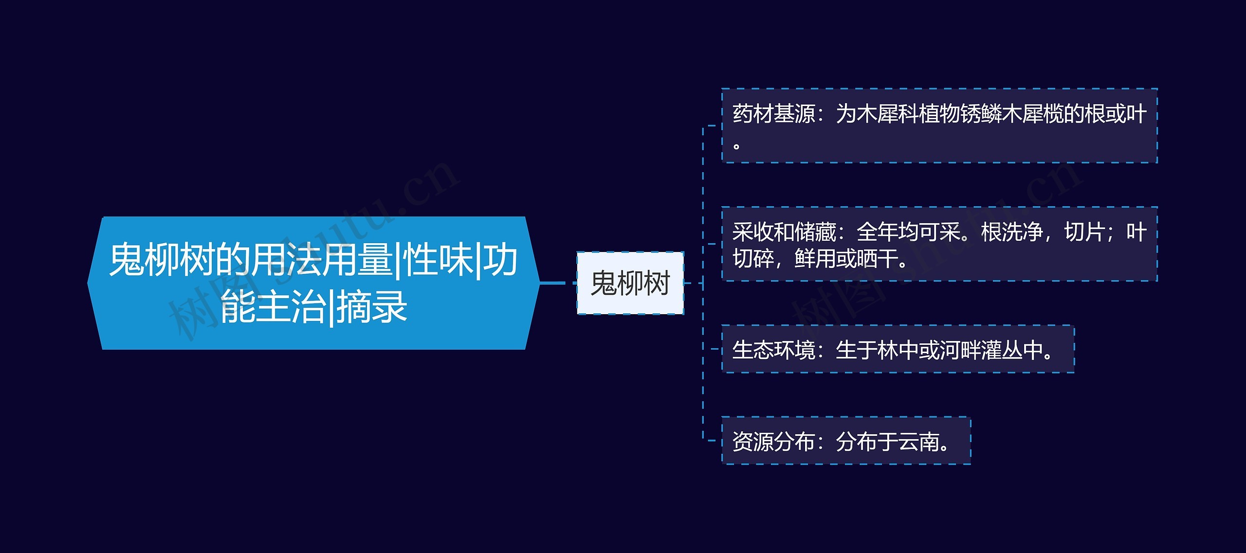 鬼柳树的用法用量|性味|功能主治|摘录思维导图