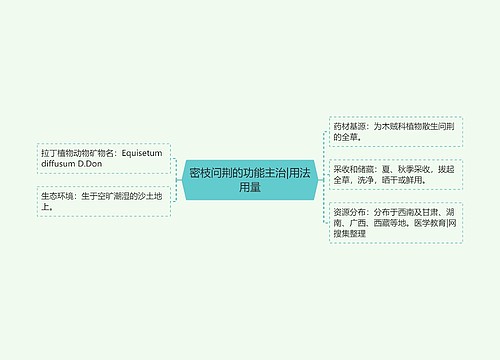 密枝问荆的功能主治|用法用量
