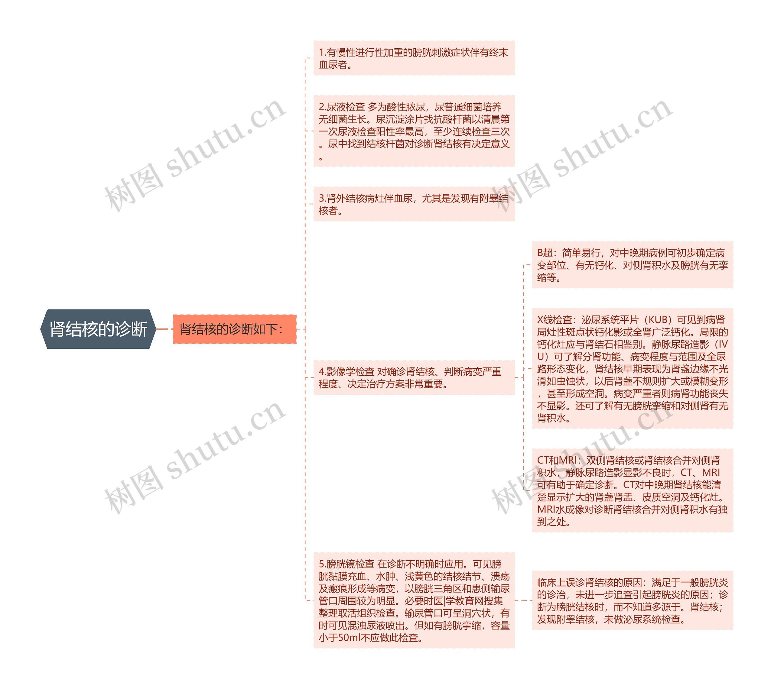 肾结核的诊断思维导图