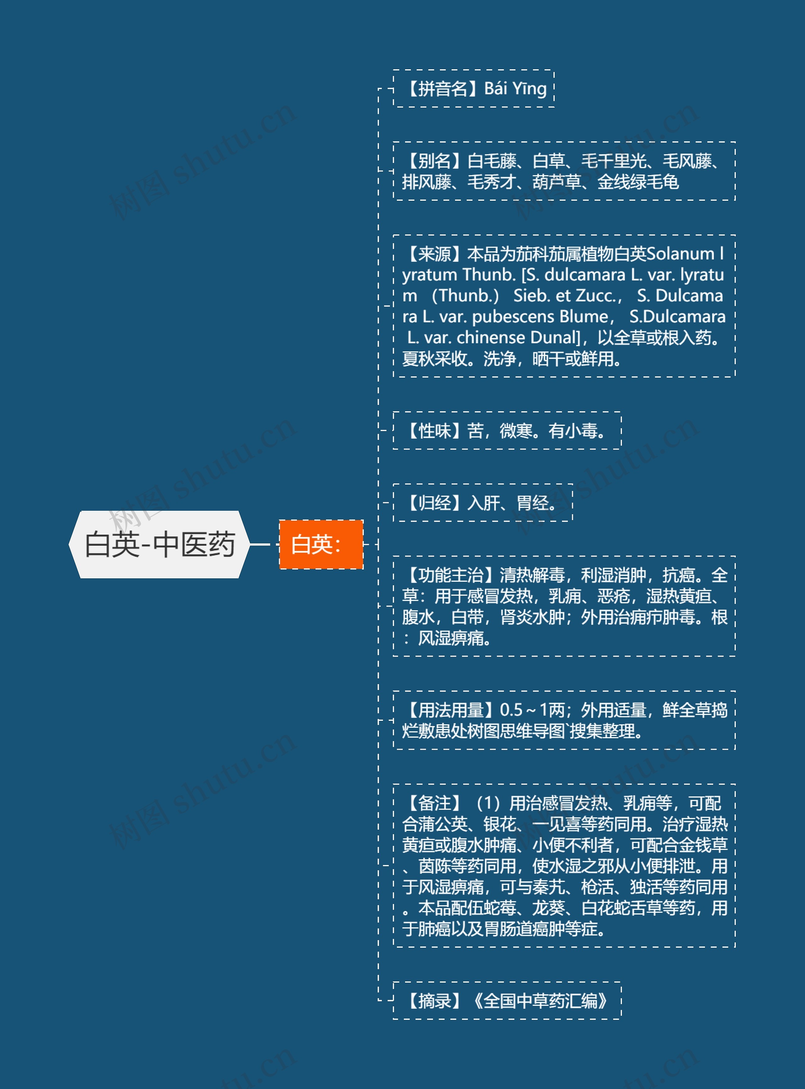 白英-中医药 白英-中医药