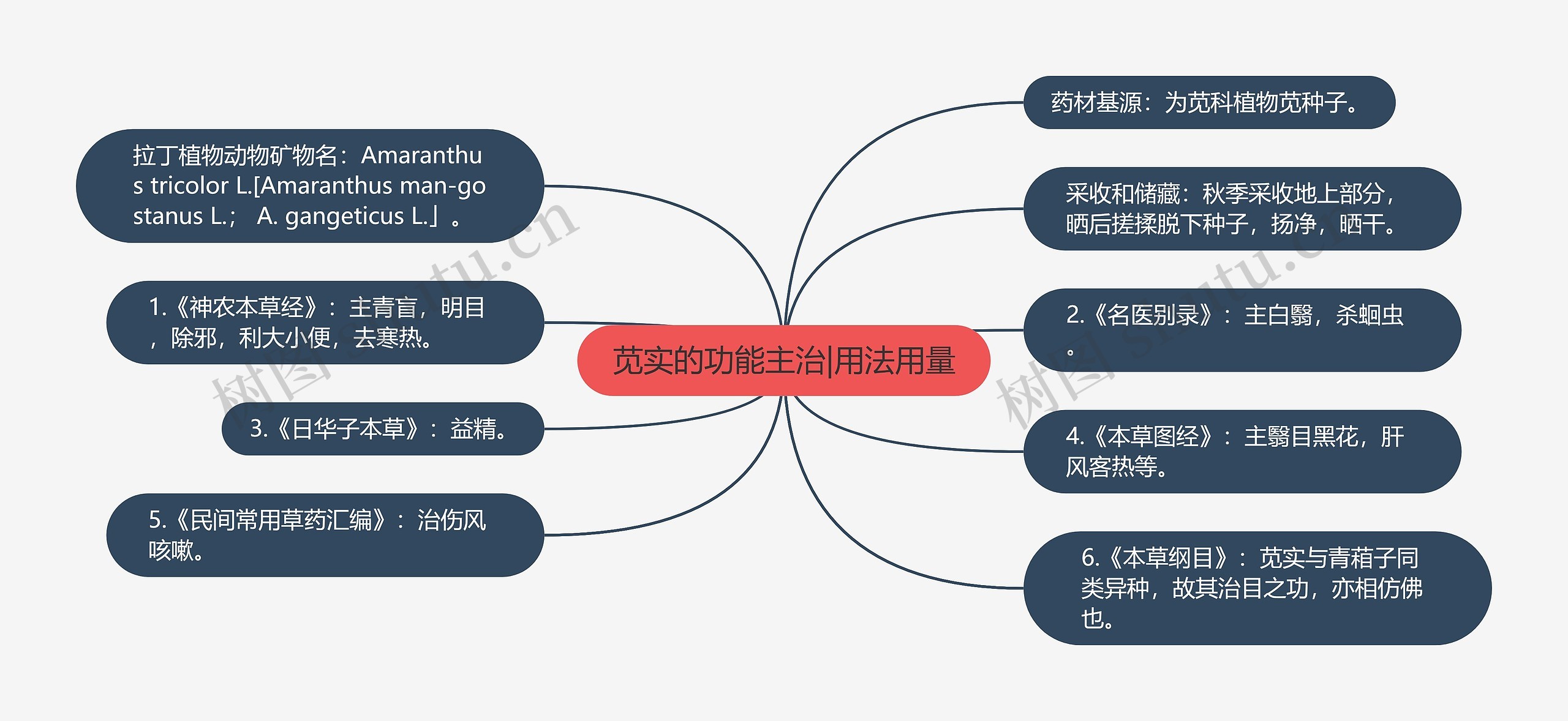 苋实的功能主治|用法用量