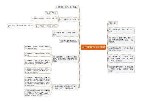 柿子的功能主治|用法用量