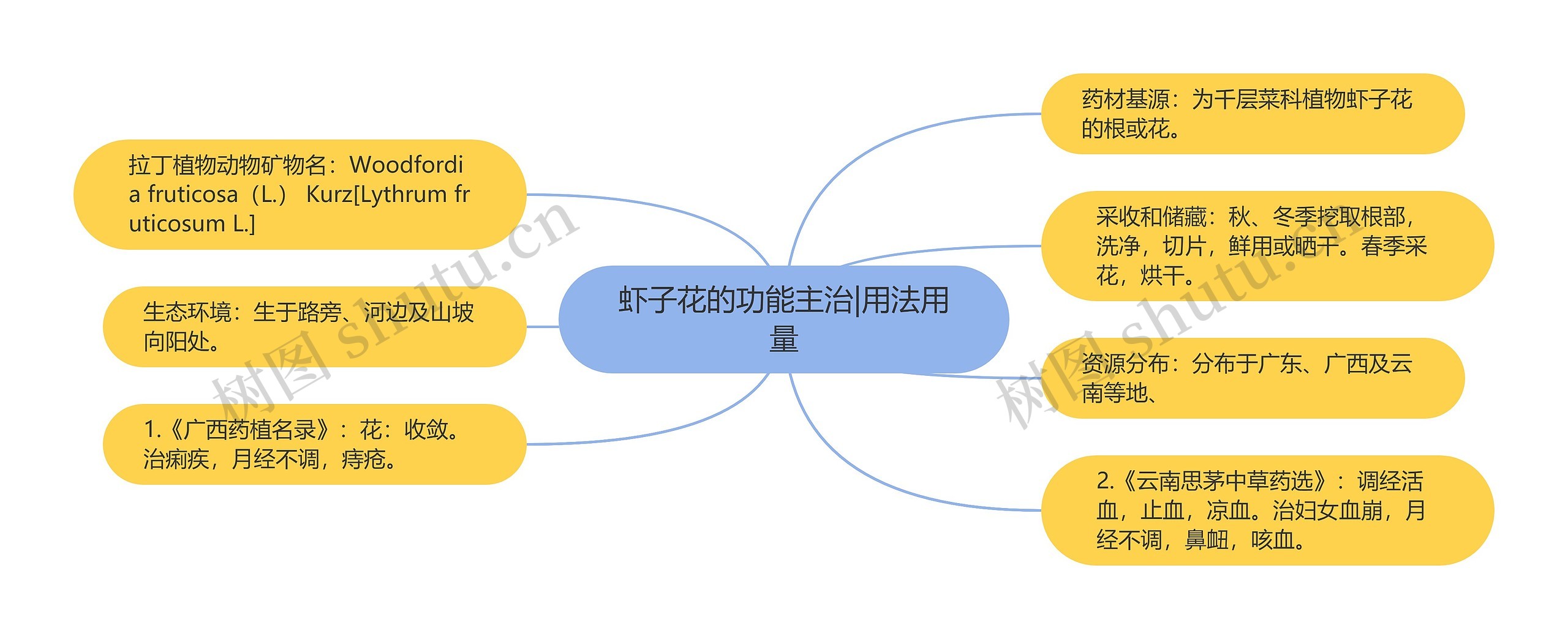 虾子花的功能主治|用法用量思维导图