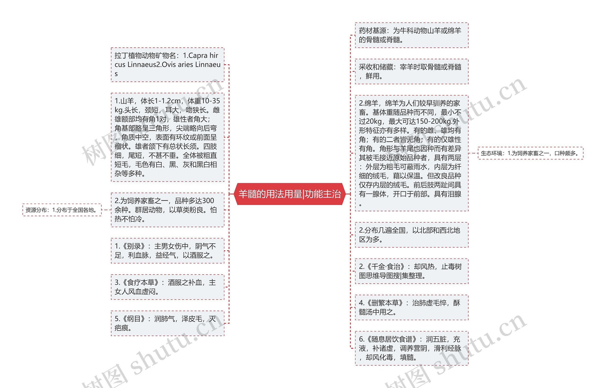羊髓的用法用量|功能主治 羊髓的用法用量|功能主治