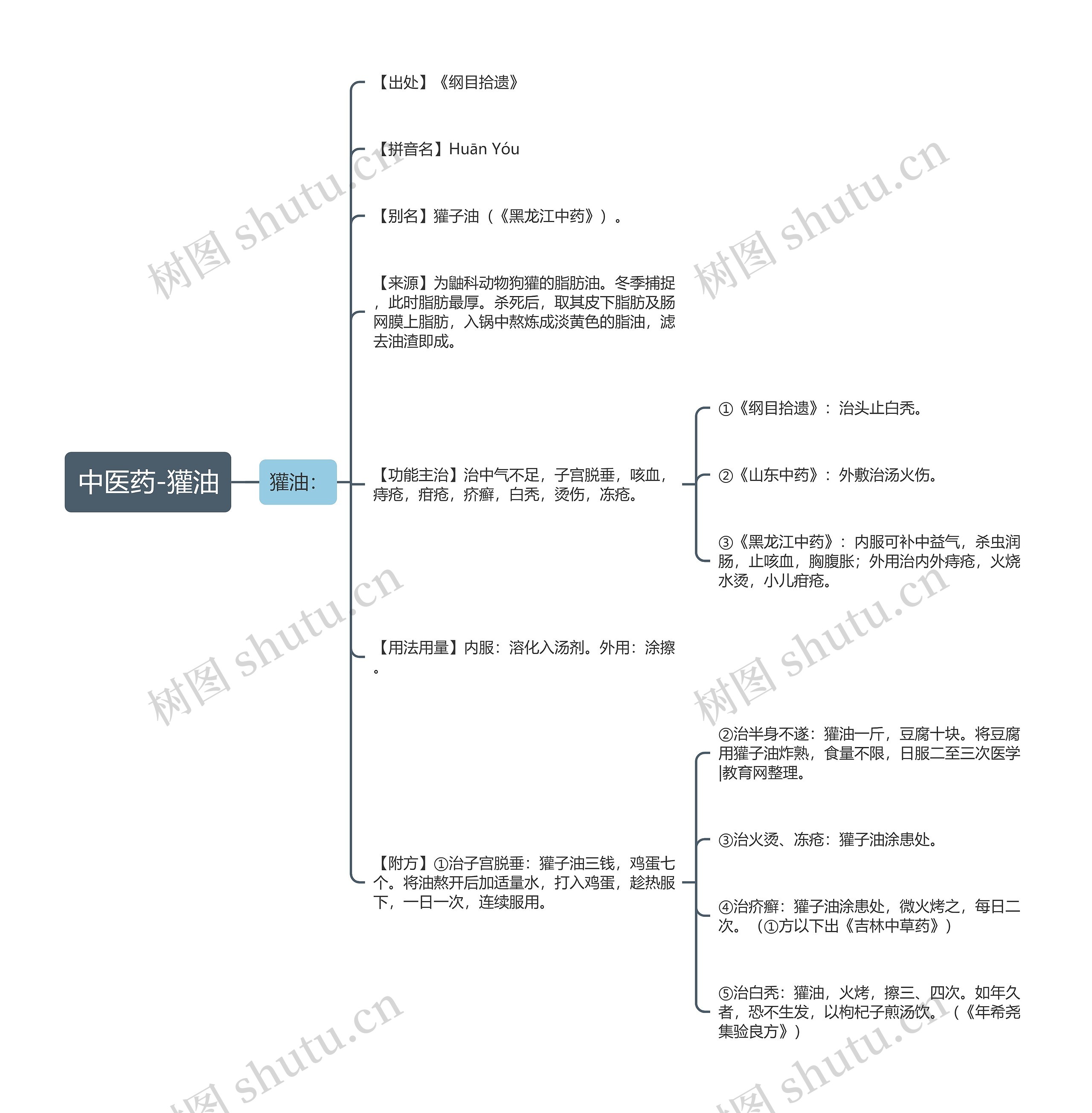 中医药-獾油思维导图