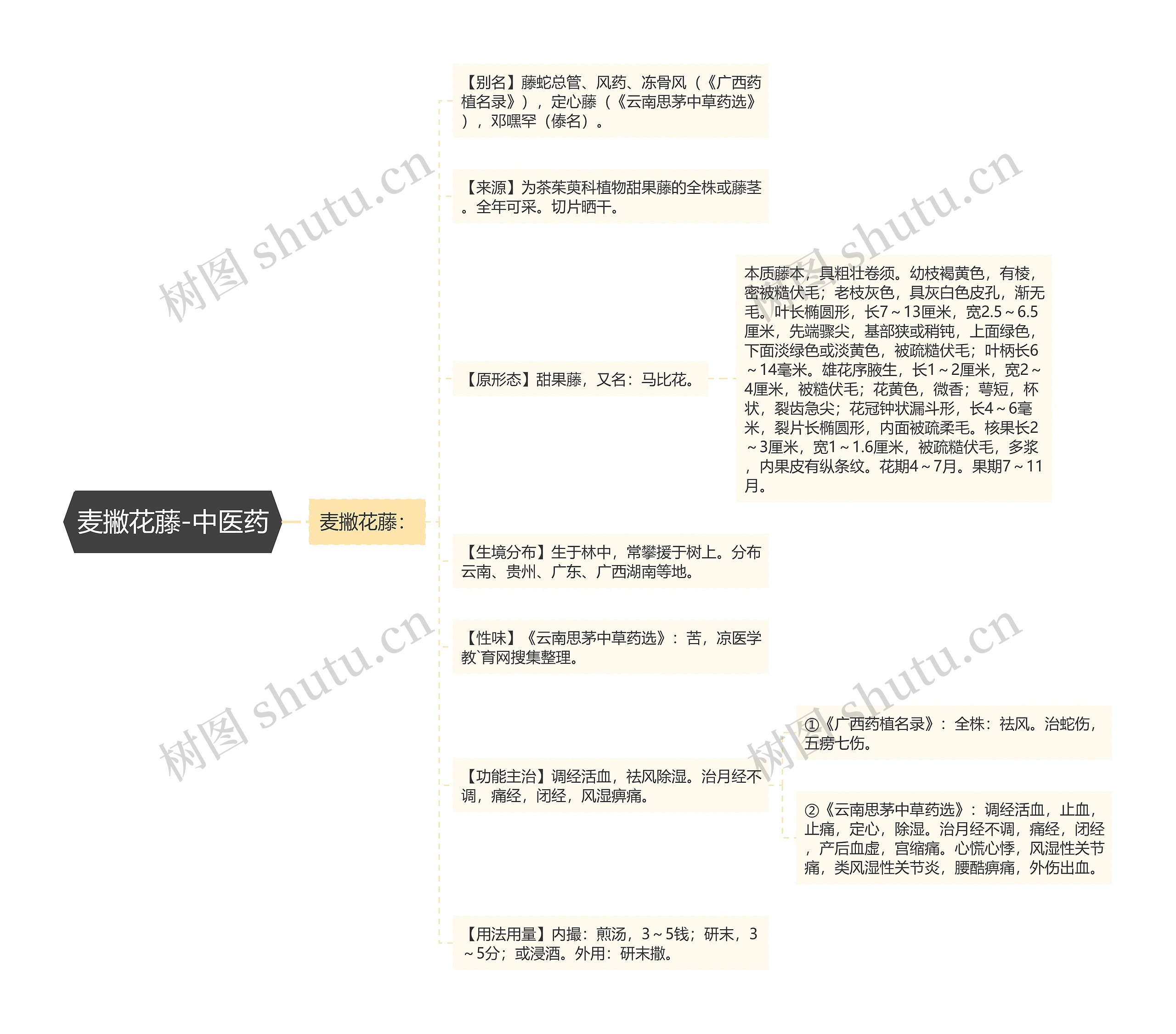 麦撇花藤-中医药思维导图