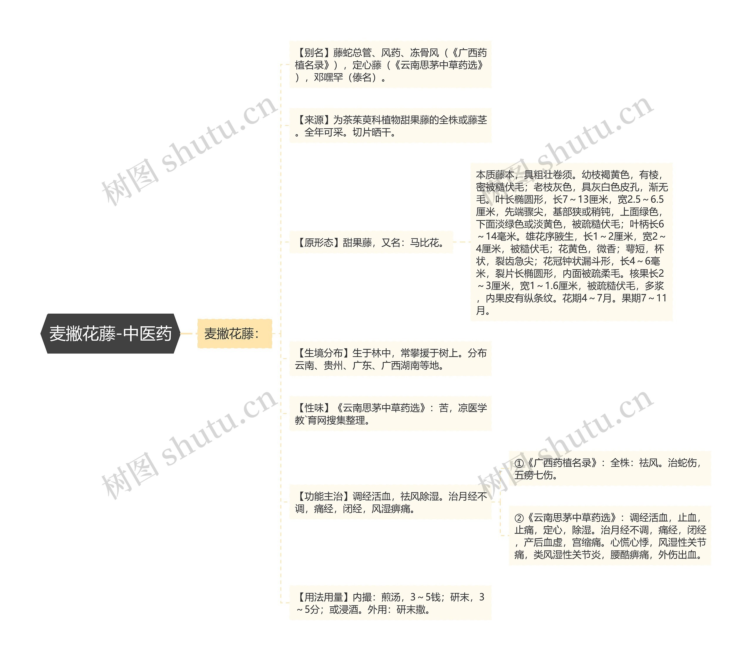 麦撇花藤-中医药 麦撇花藤-中医药