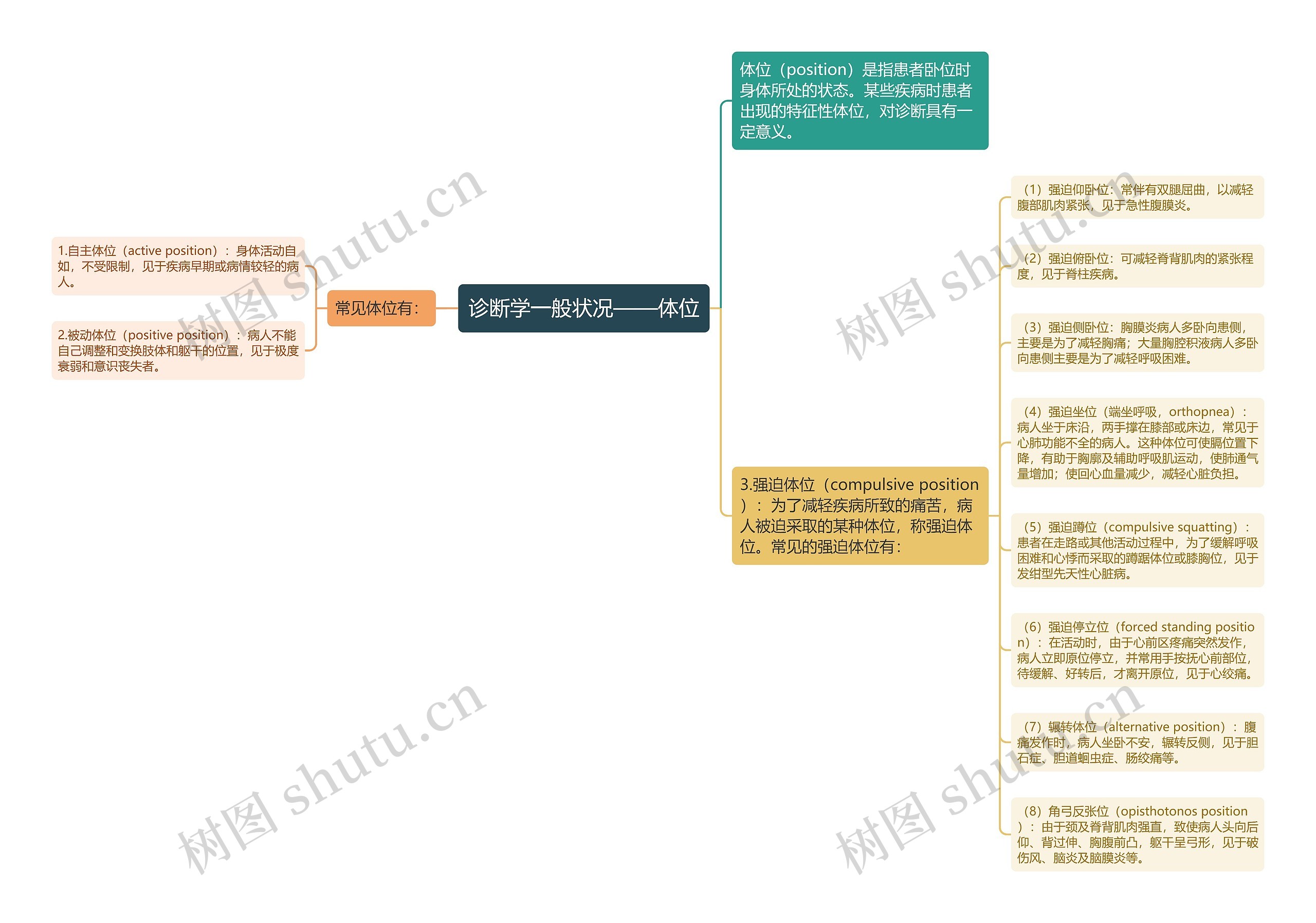 诊断学一般状况——体位