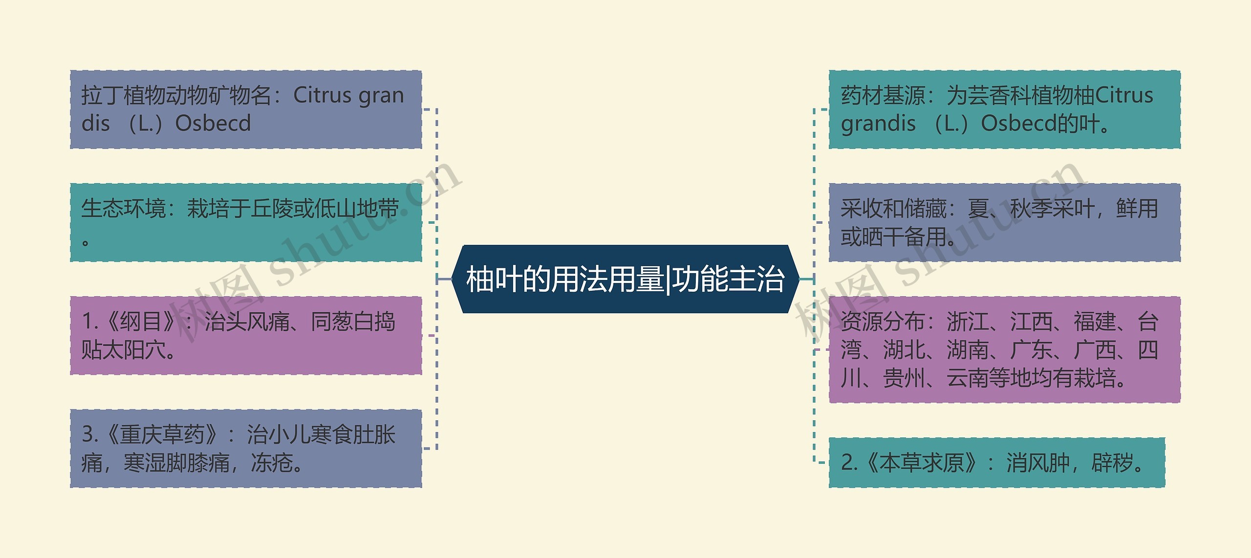 柚叶的用法用量|功能主治思维导图