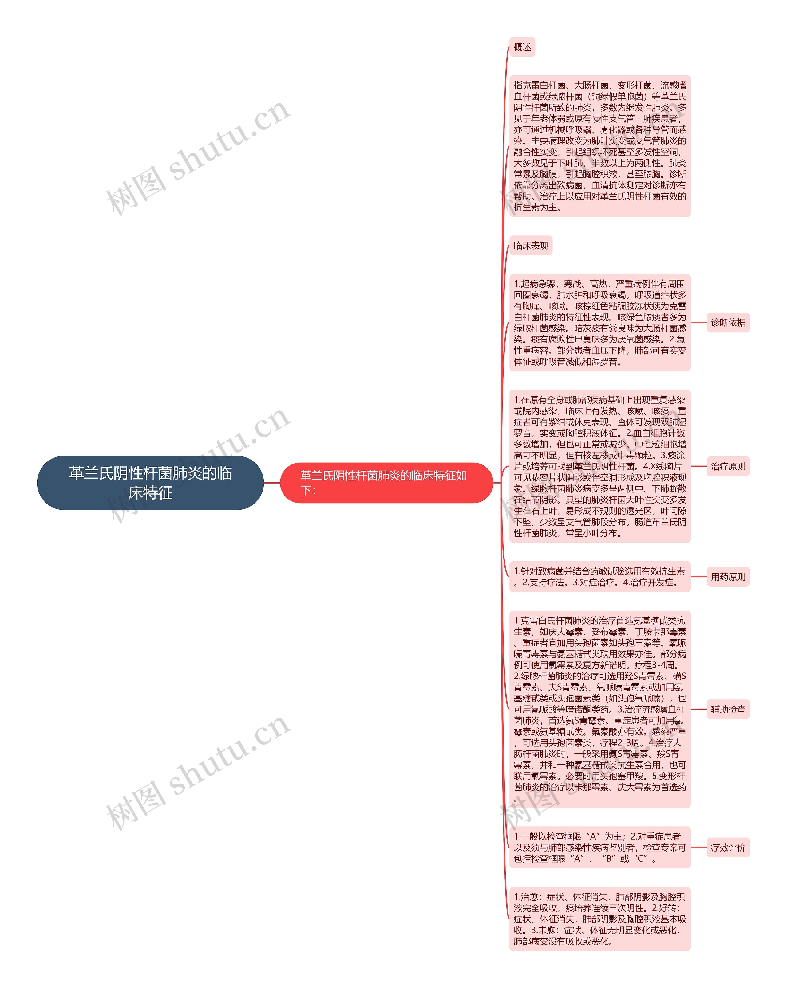 革兰氏阴性杆菌肺炎的临床特征思维导图