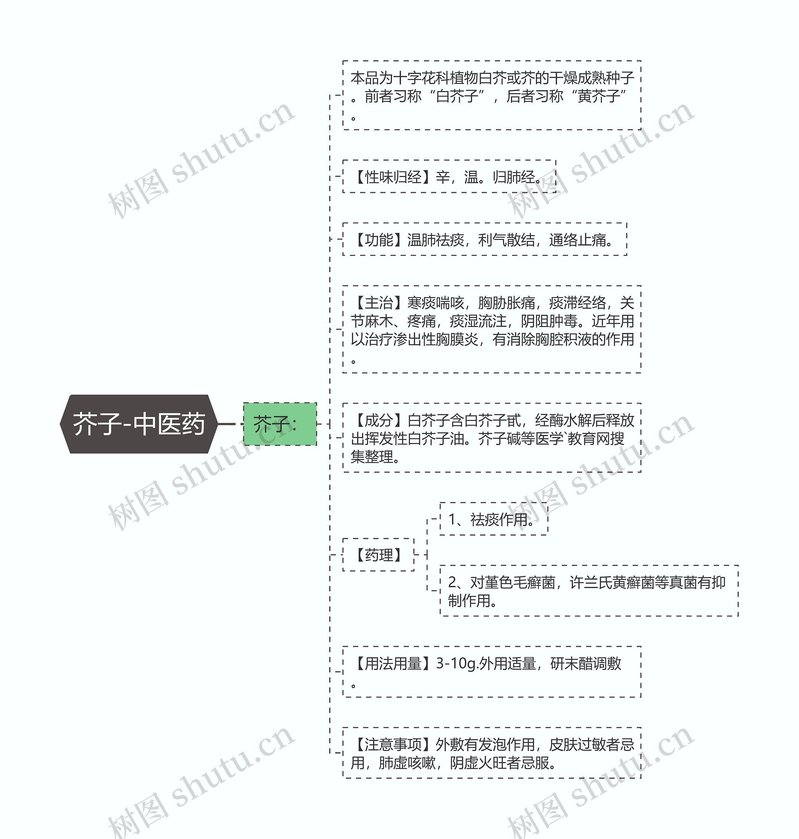 芥子-中医药 芥子-中医药