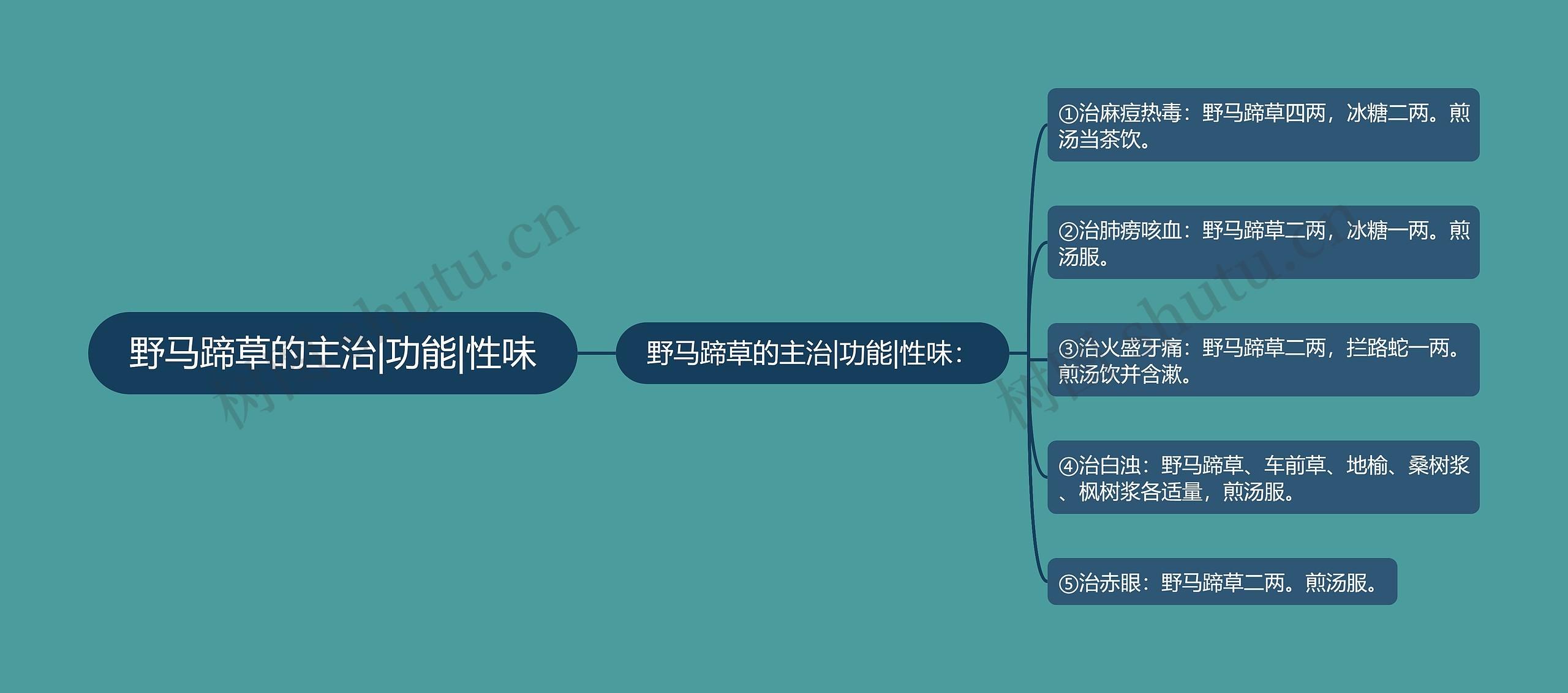 野马蹄草的主治|功能|性味